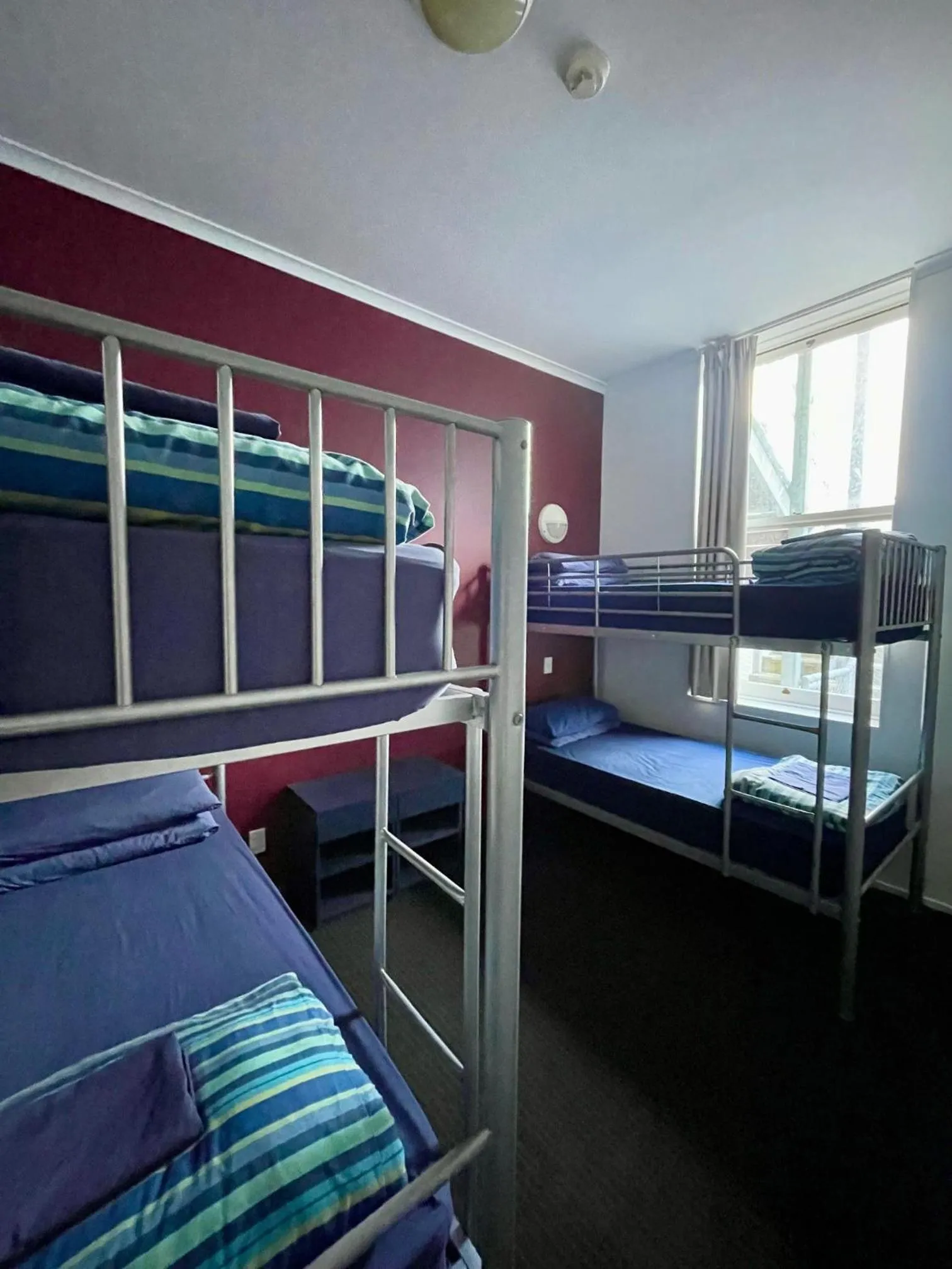 bunk bed, Bed in Nomads Capital Backpackers - Wellington