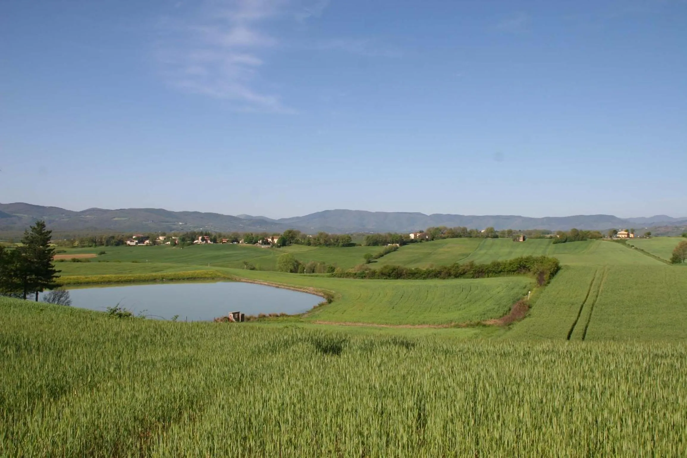 View (from property/room) in Il Nido di Gabbiano