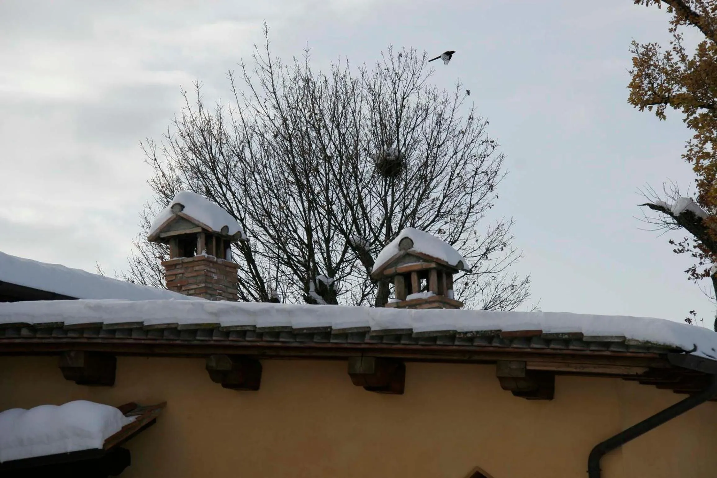 Winter in Il Nido di Gabbiano