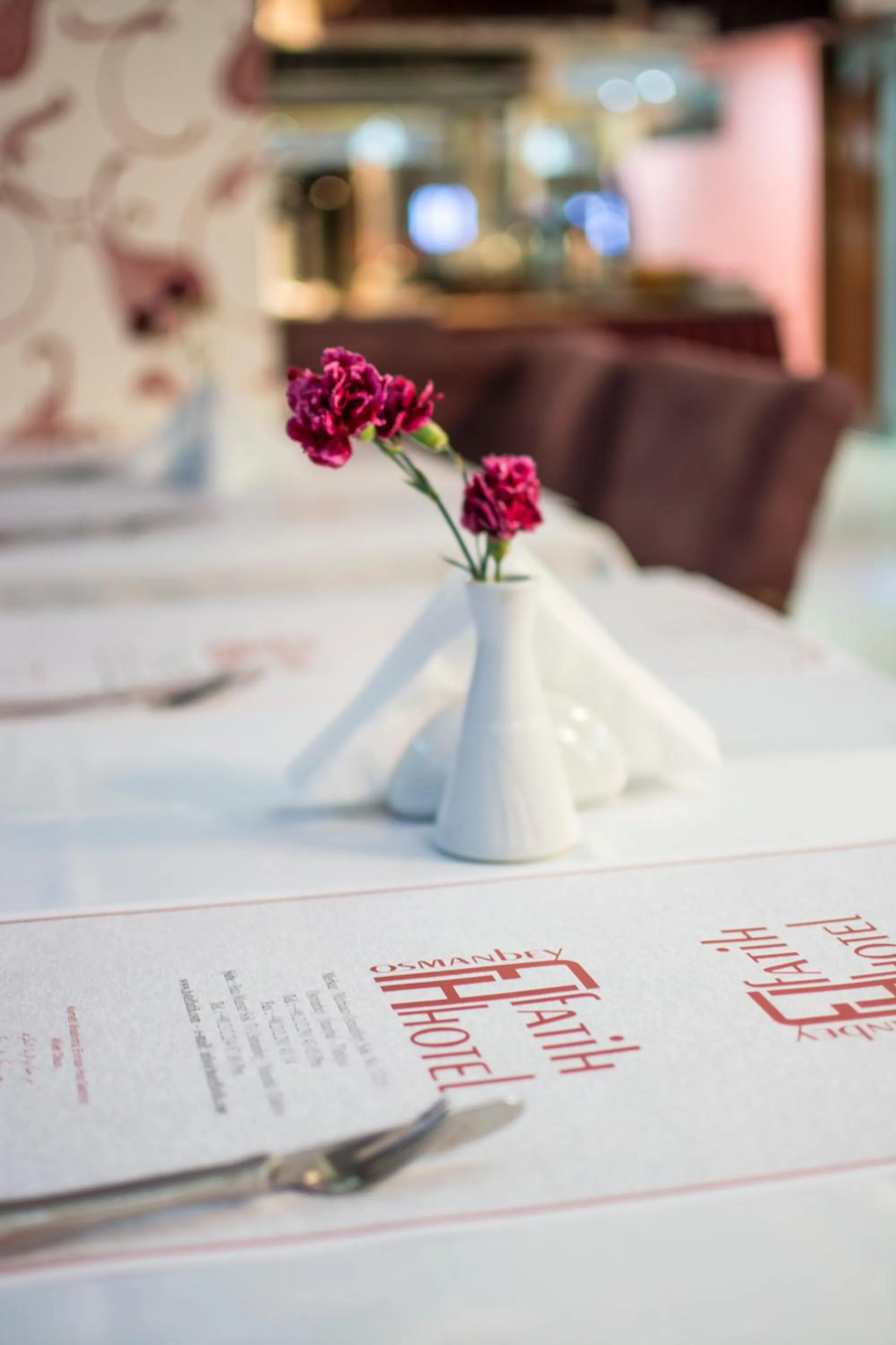 Restaurant/places to eat in Osmanbey Fatih Hotel