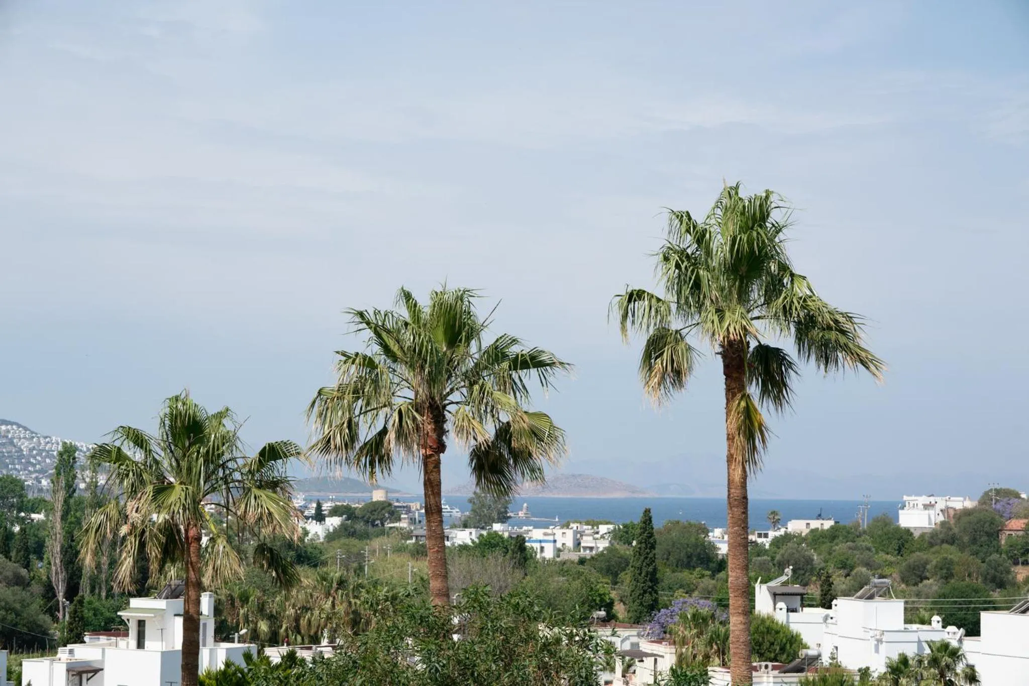 Natural landscape in Elementa Boutique Hotel - Adults Only