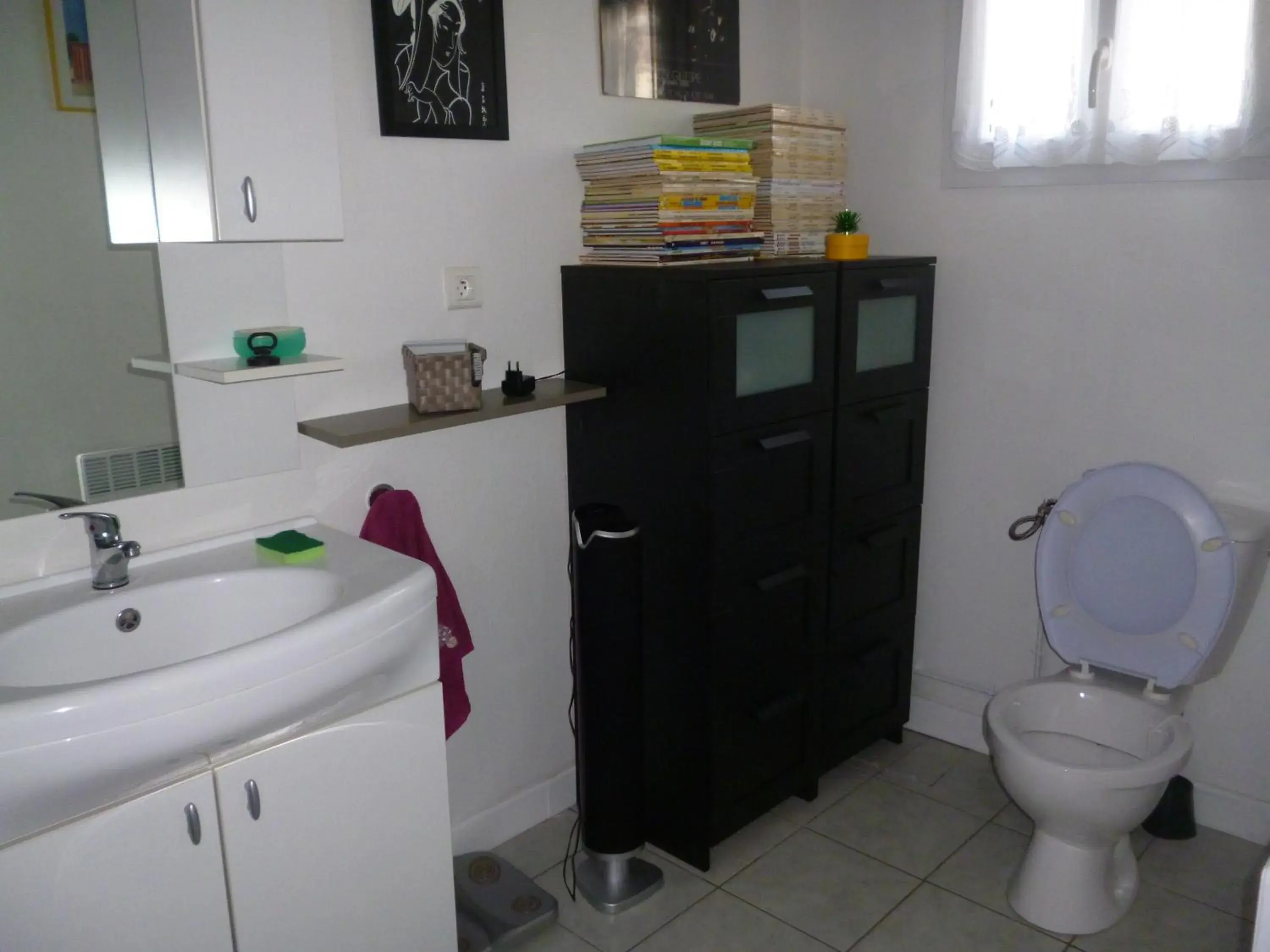 Double Room with Private Bathroom in La Jarrie Leduc Double Room with Private Bathroom in La Jarrie Leduc