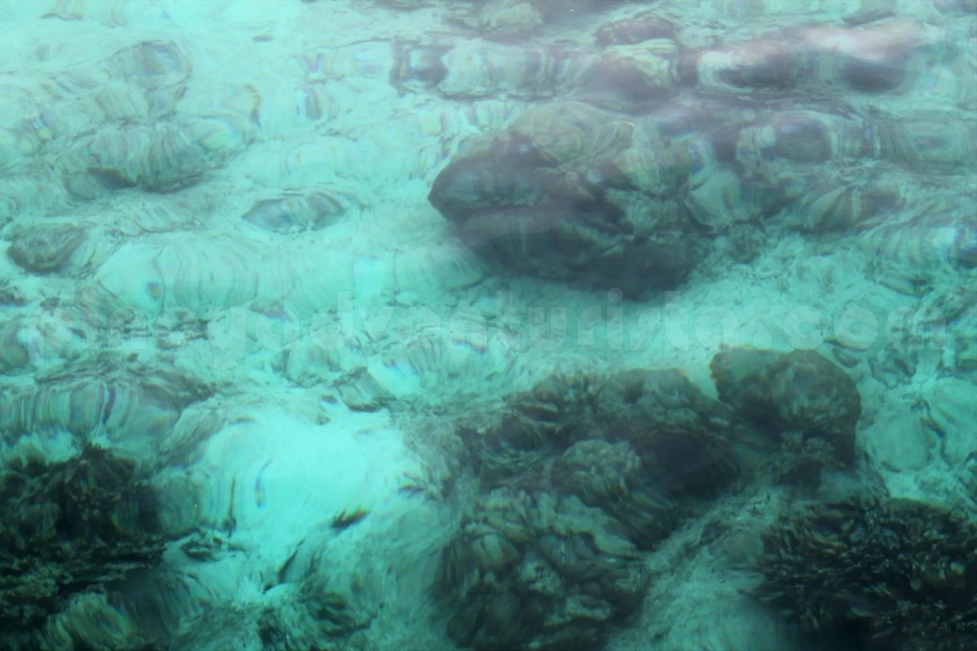 Beach in RedDoorz at Shandy's Transient House Palompon