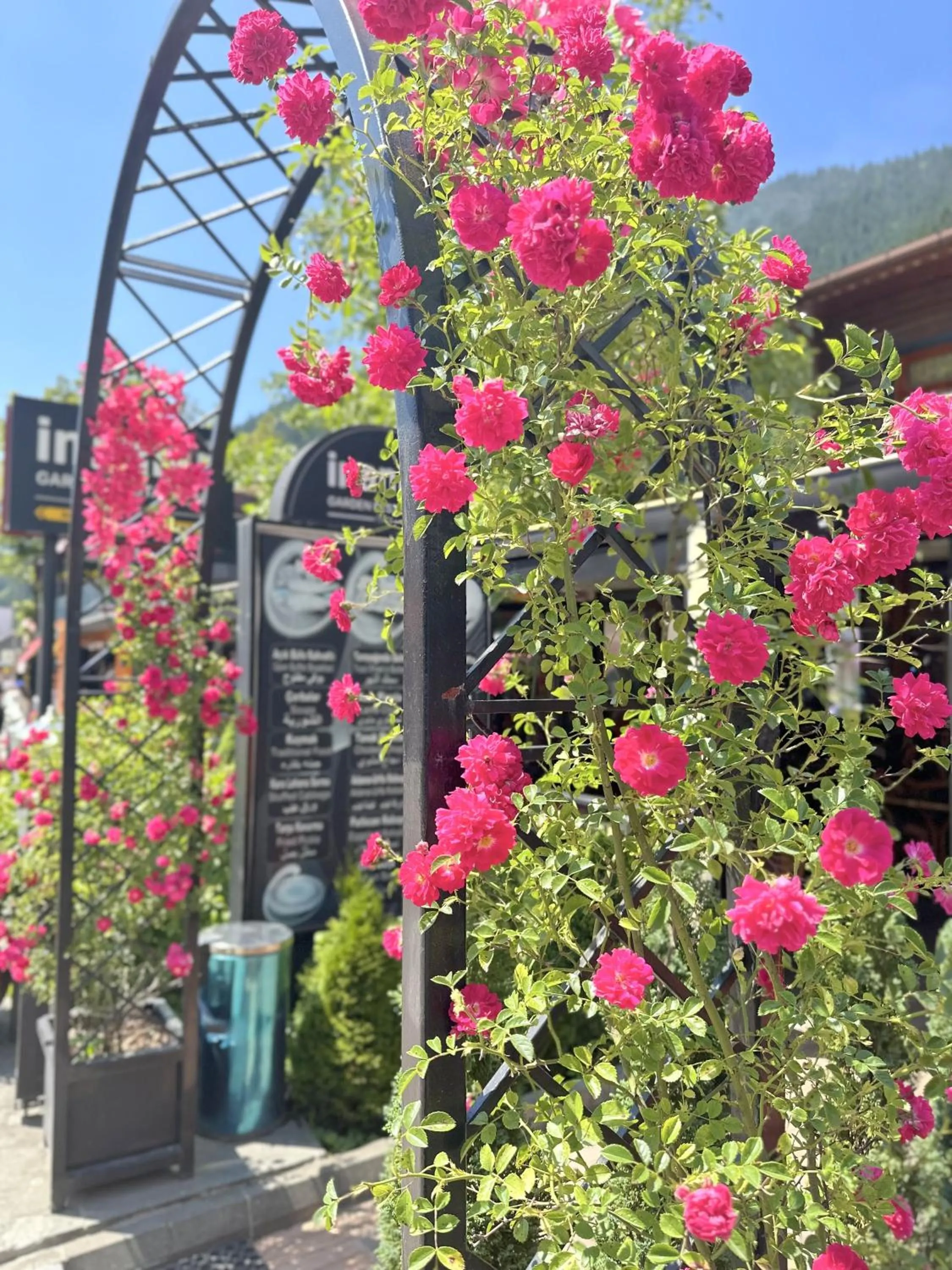 Restaurant/places to eat in Inanlar Garden Hotel & Bungalow