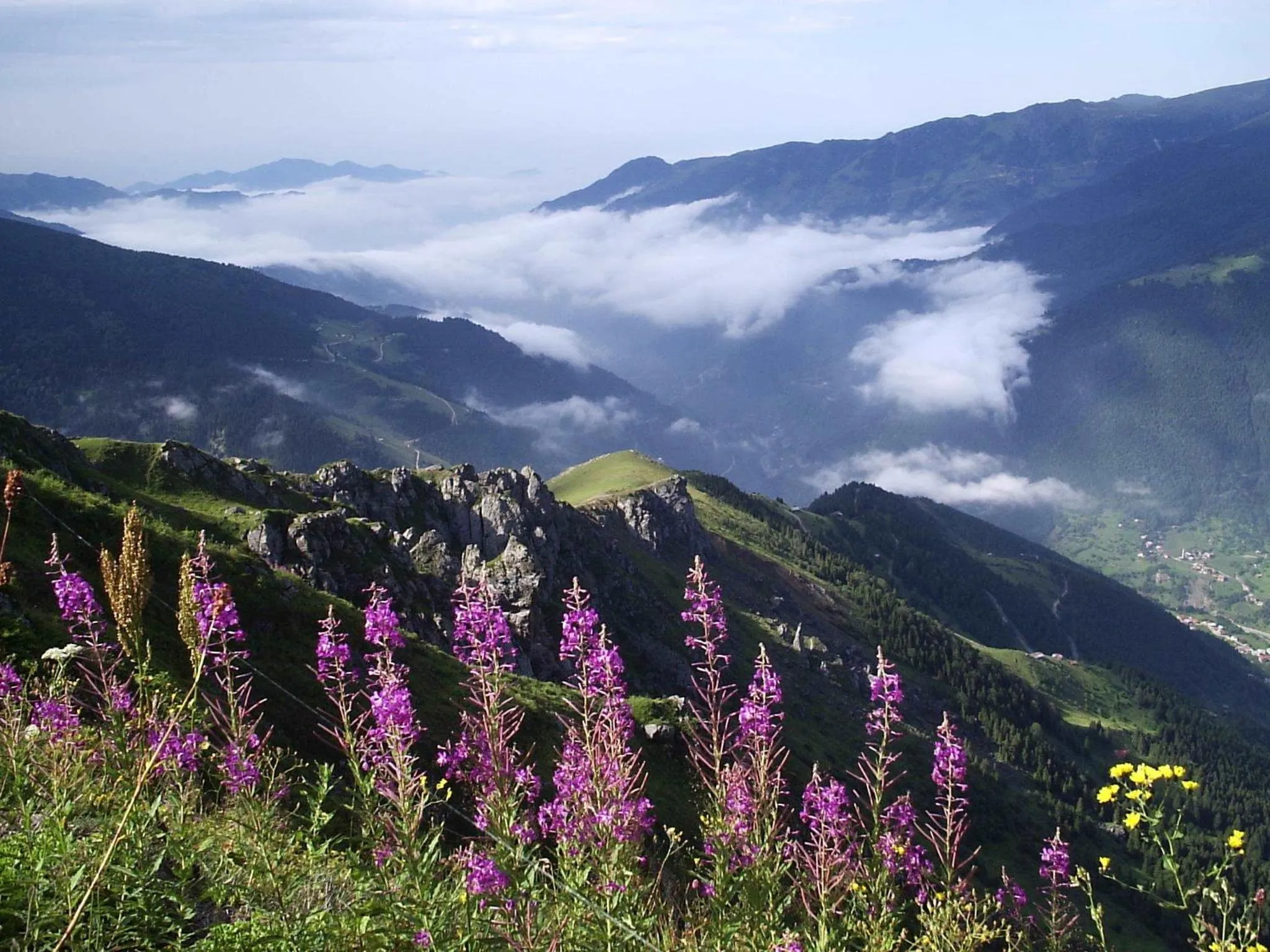 Natural landscape in Inanlar Garden Hotel & Bungalow