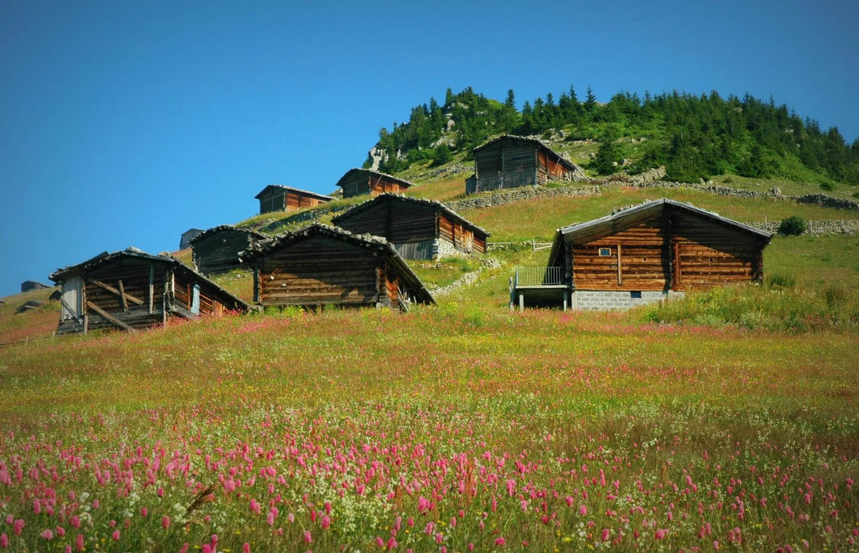 Natural landscape in Inanlar Garden Hotel & Bungalow
