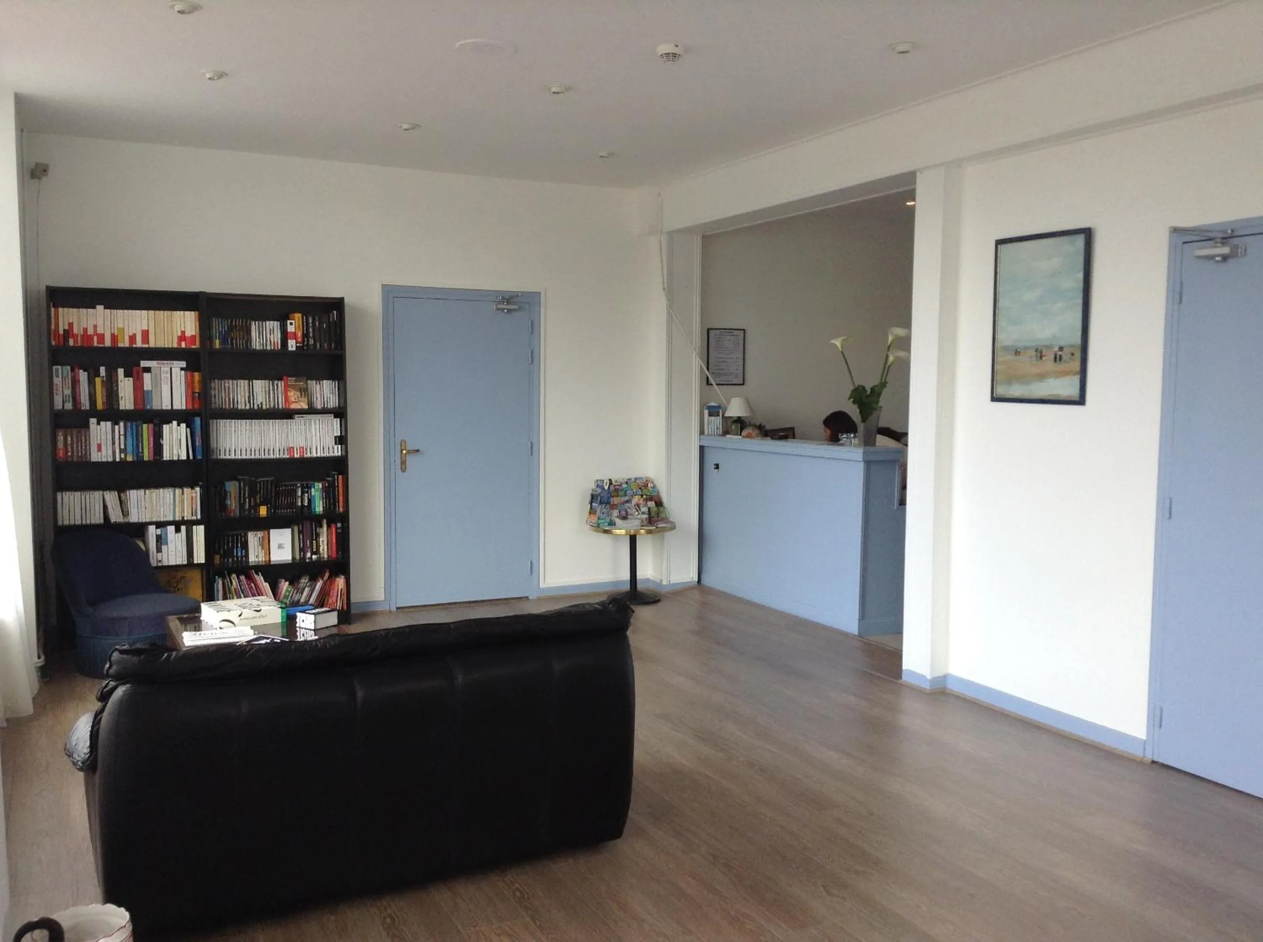 Library in Hotel Du Parc