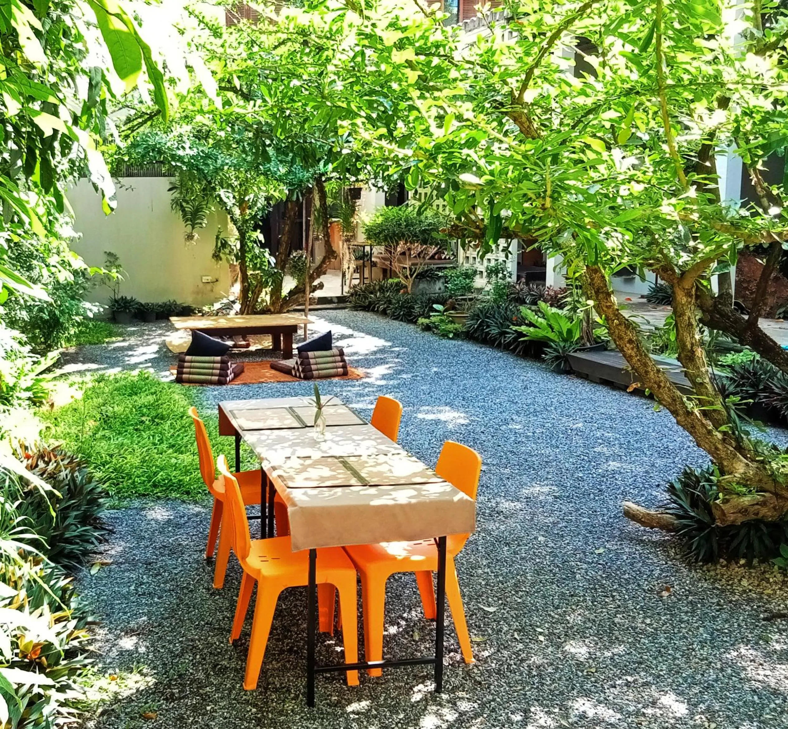 Garden in Baba pim villa