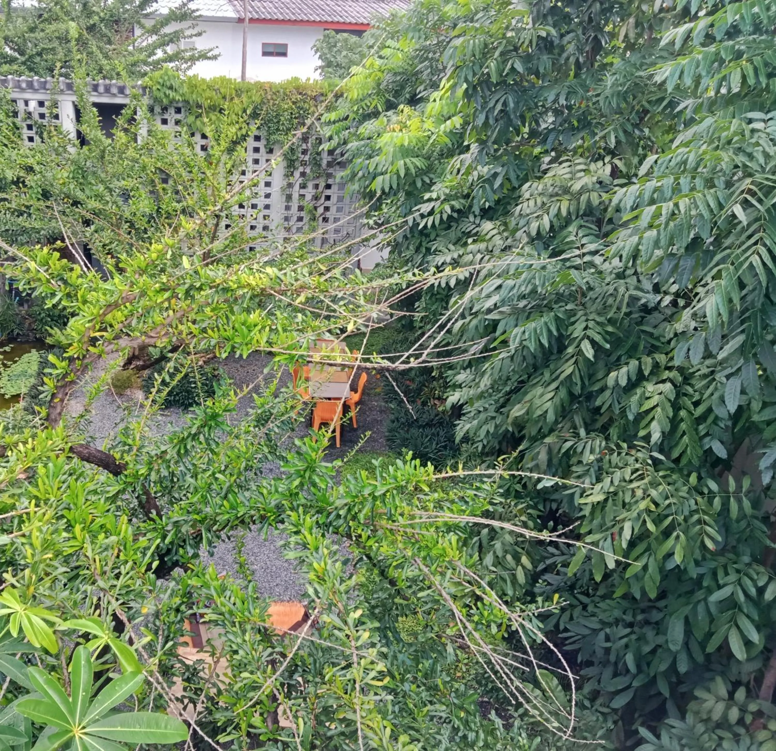 View (from property/room) in Baba pim villa