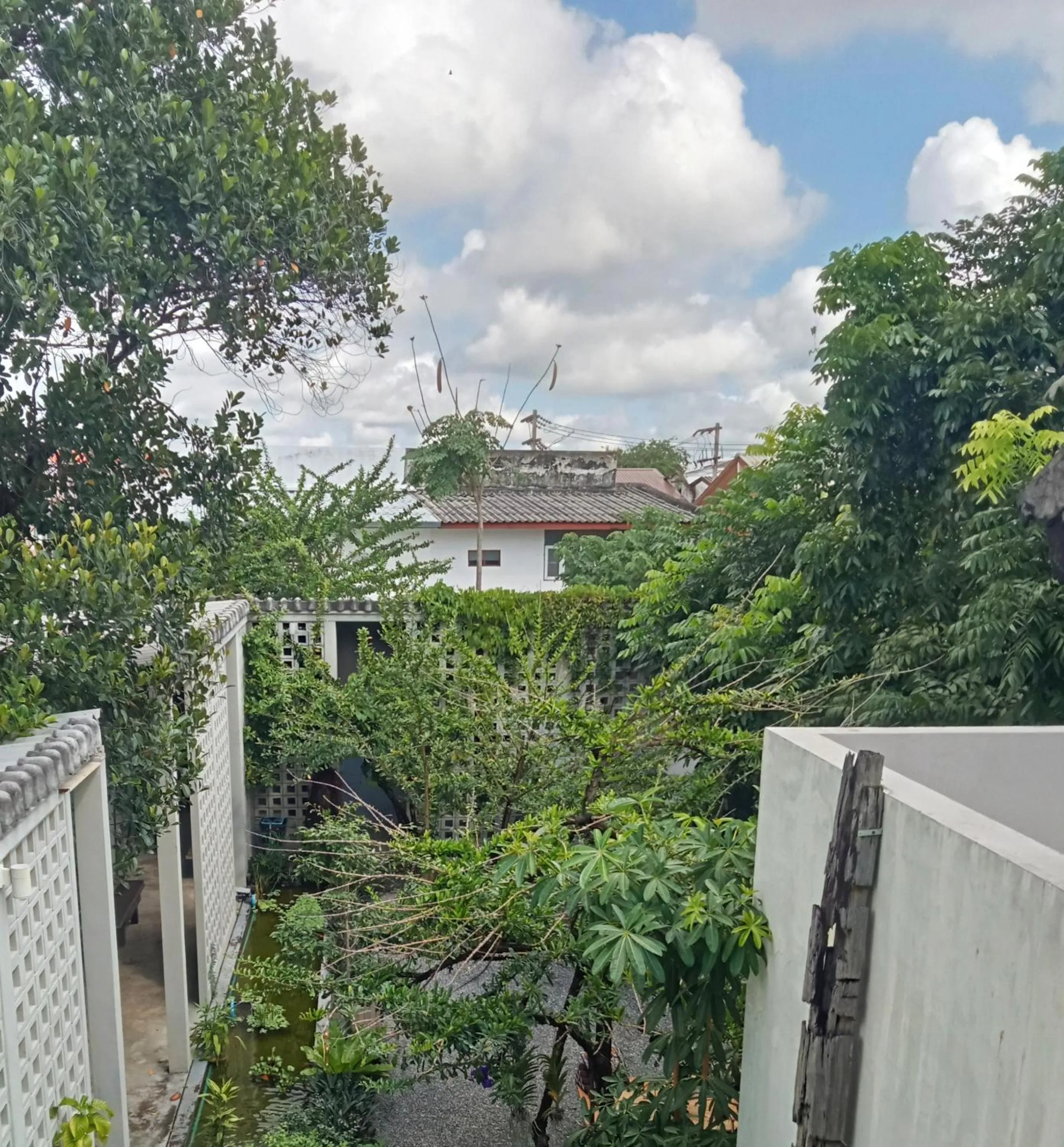 View (from property/room) in Baba pim villa