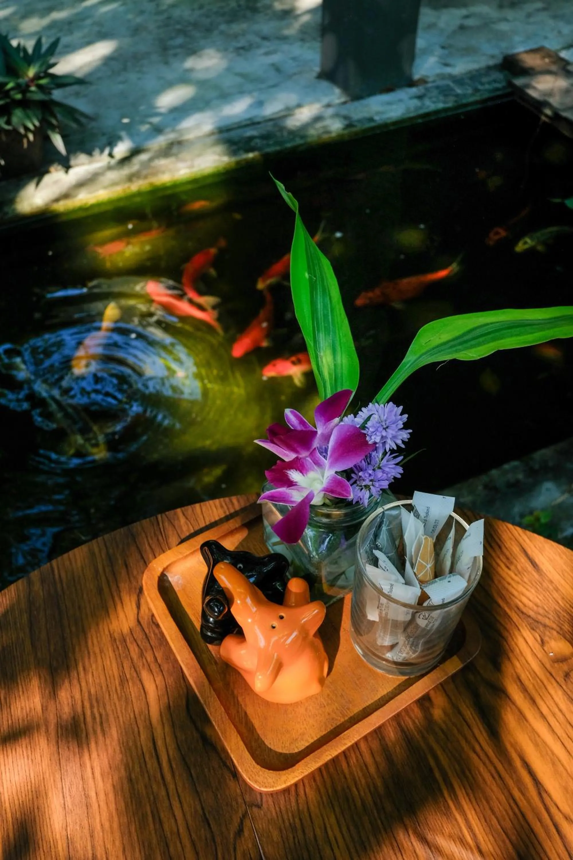 Garden in Baba pim villa