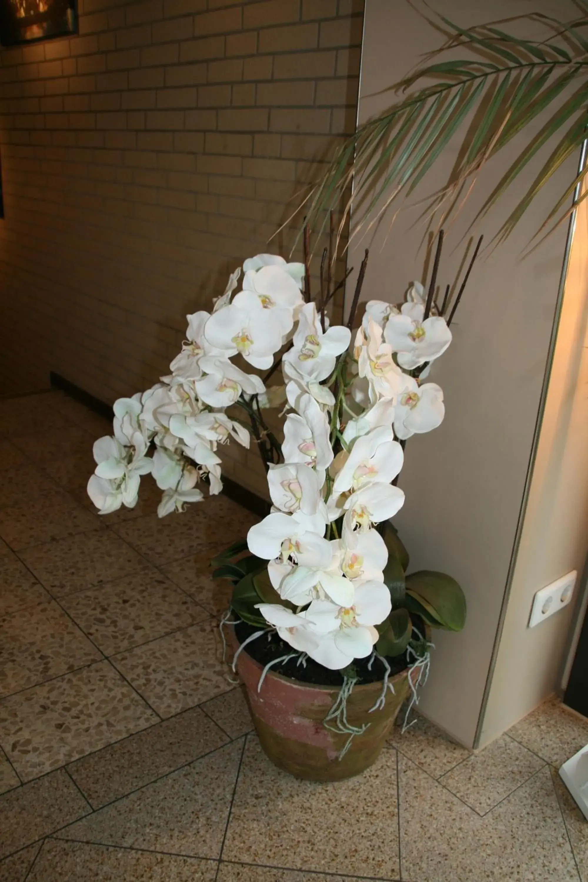 Comfort Studio in Albertus Paris Aparthotel Comfort Studio in Albertus Paris Aparthotel