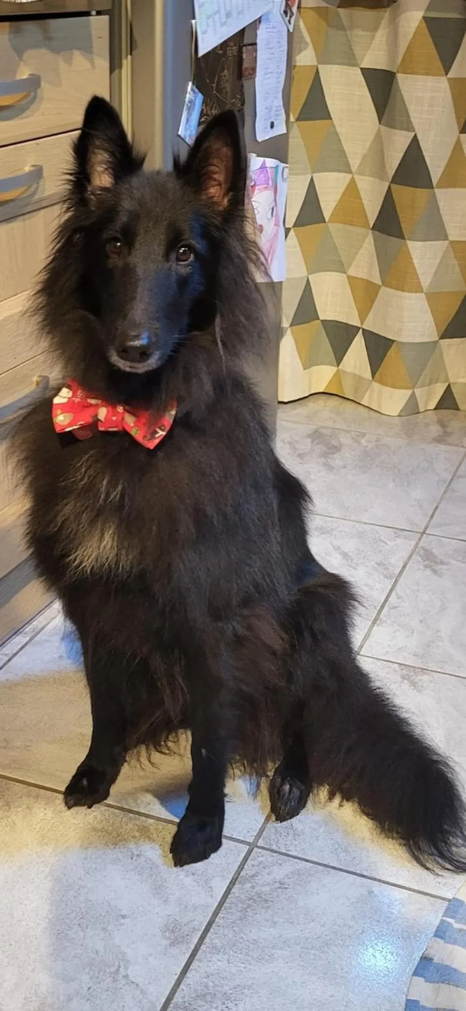 Staff in Hôtel Mélodie