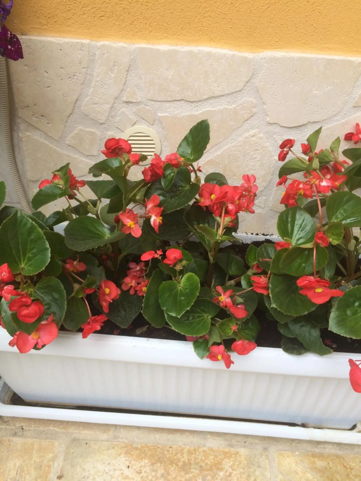 b&b la corte in centro