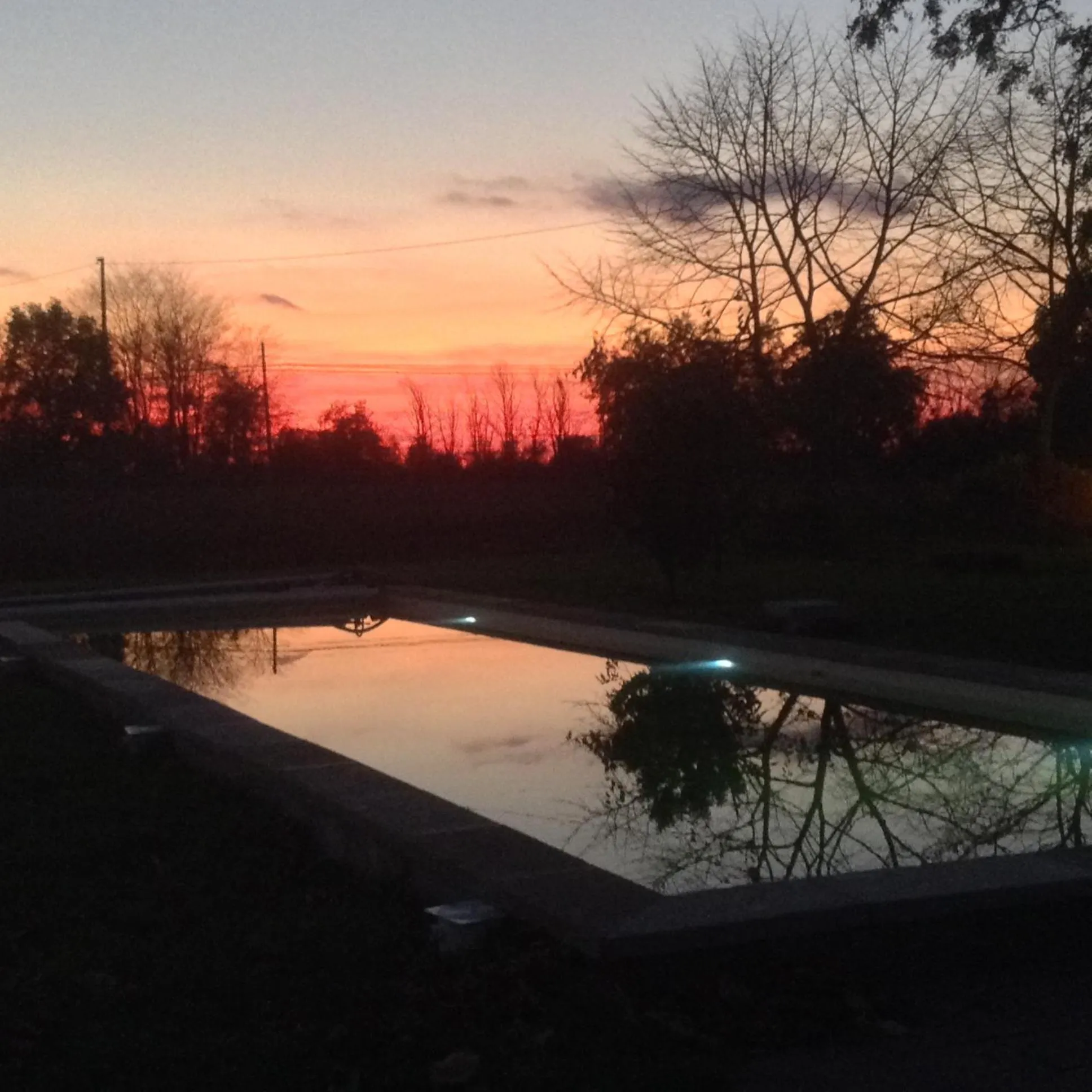 Swimming pool in Ippocastano B&B