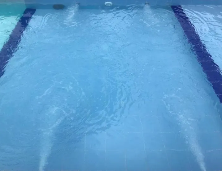 Pousada & Food 3 Abelhas