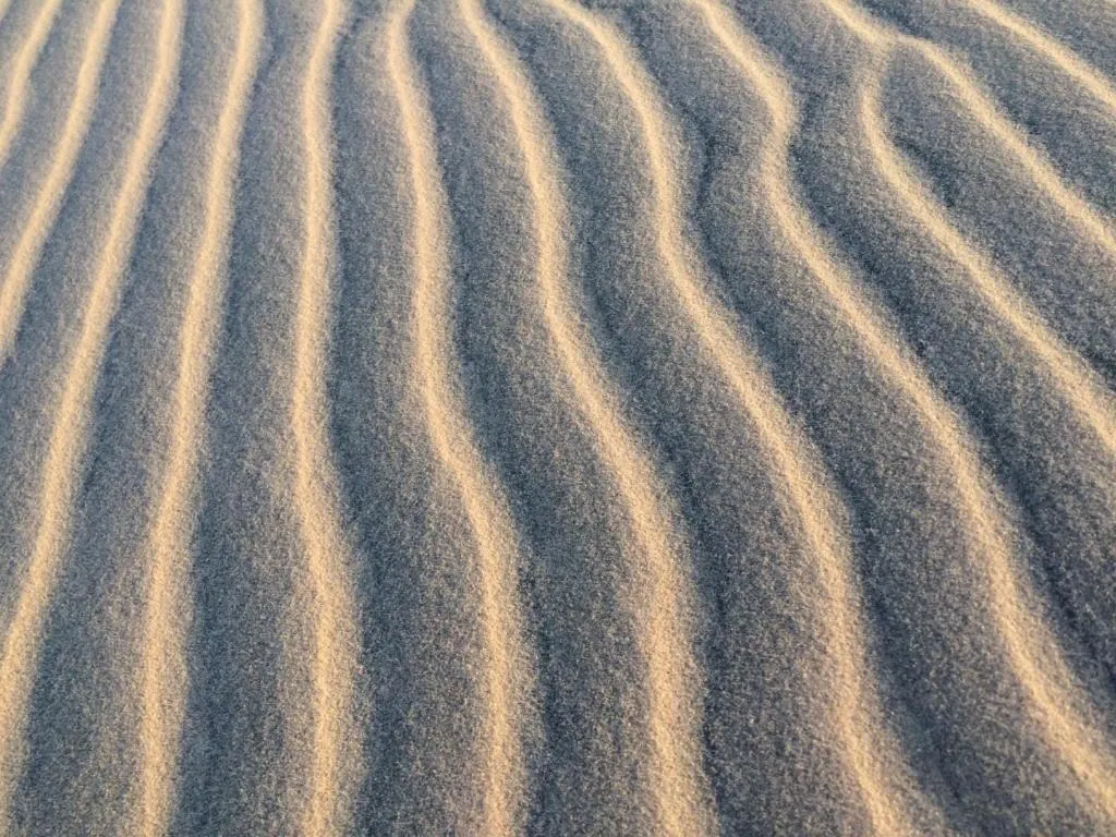 Pousada & Food 3 Abelhas