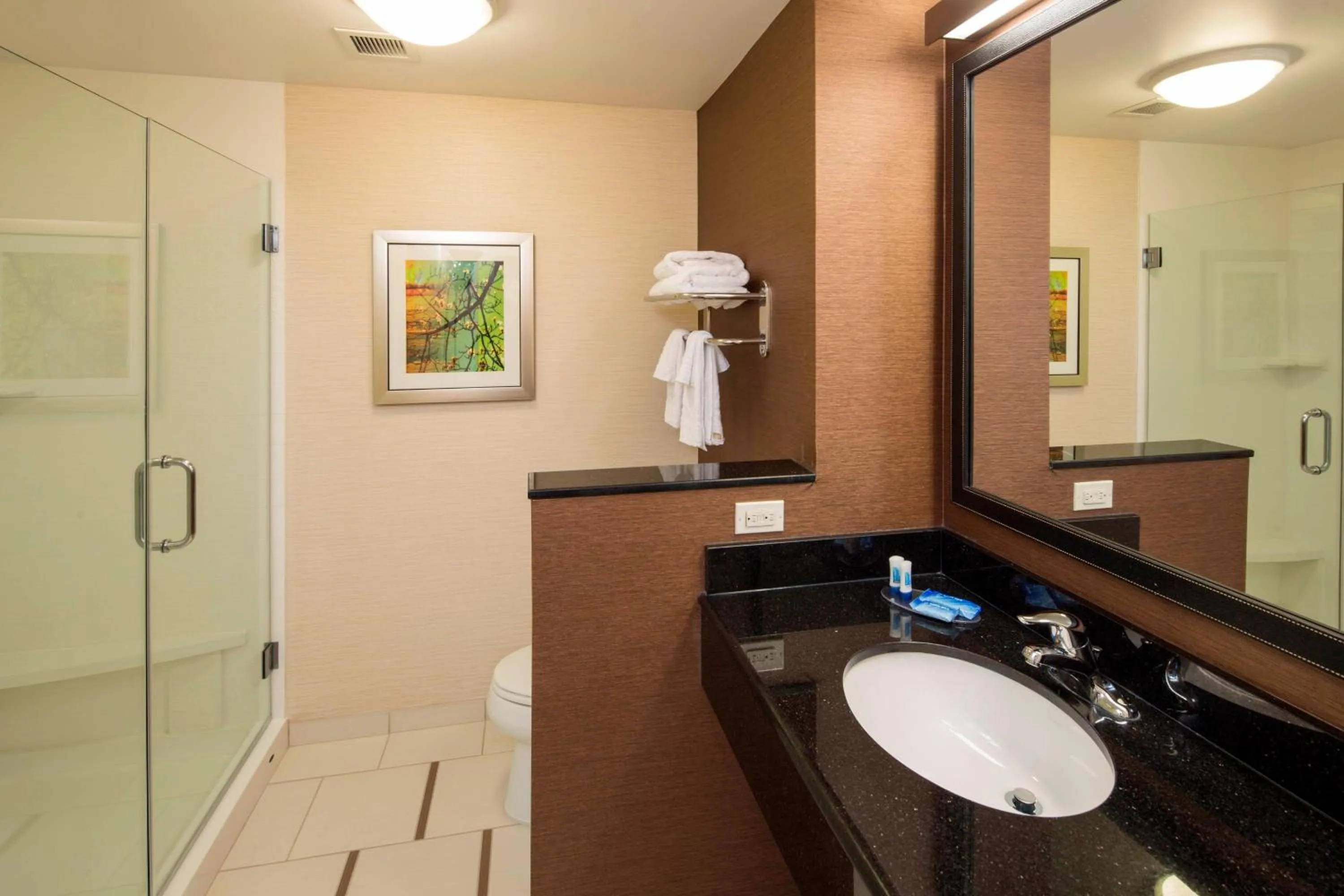 Bathroom in Fairfield Inn & Suites by Marriott Hershey Chocolate Avenue