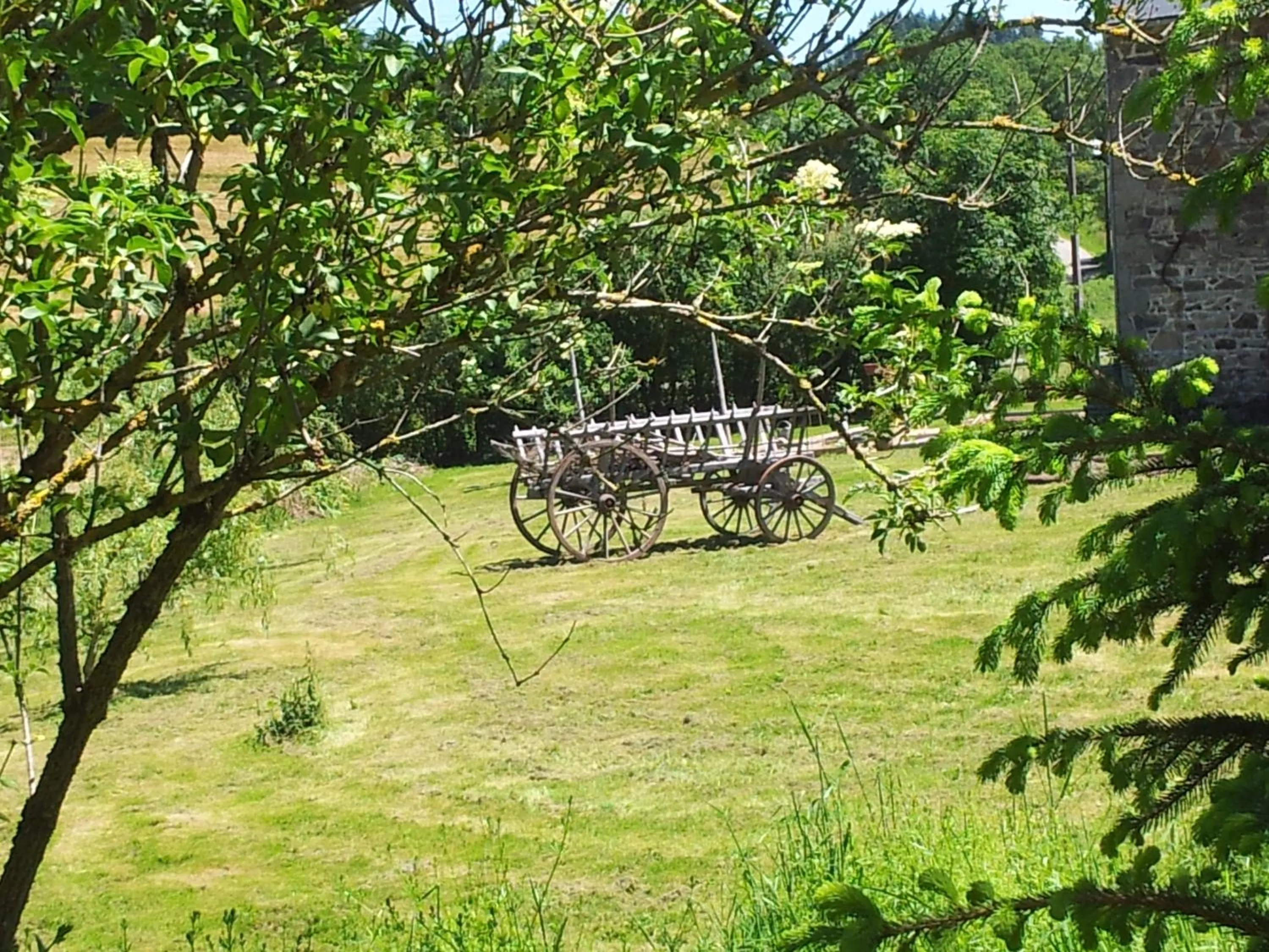 Garden in B&B Maison Coralie
