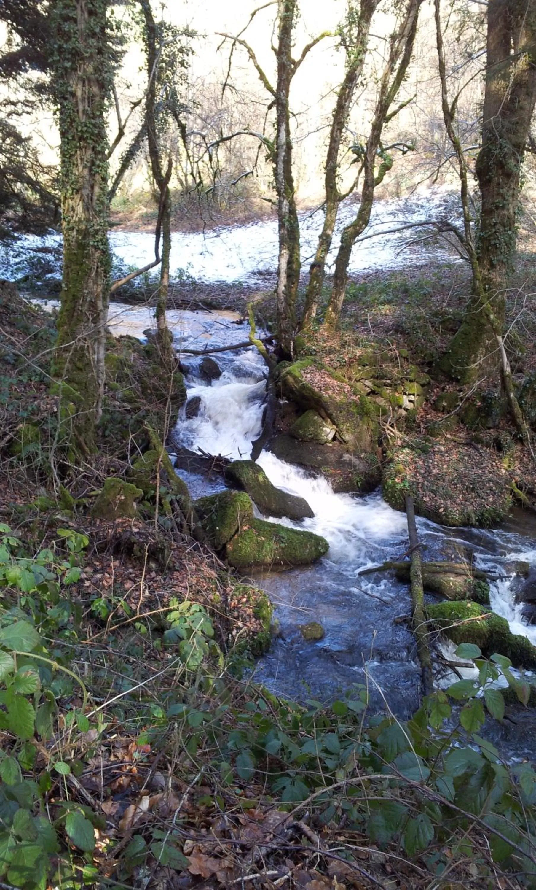Natural landscape in B&B Maison Coralie