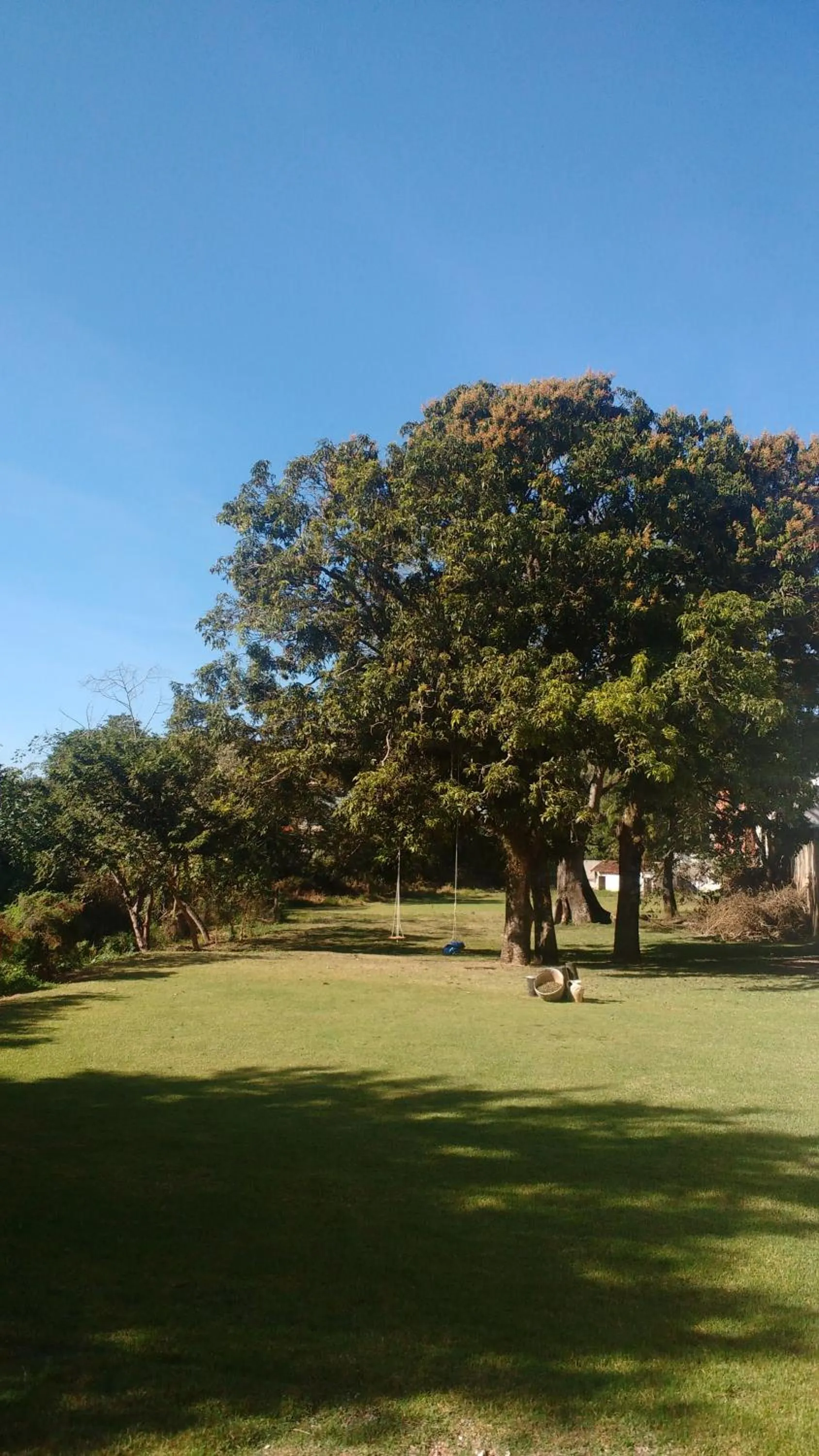 Garden in Hotel Santiago
