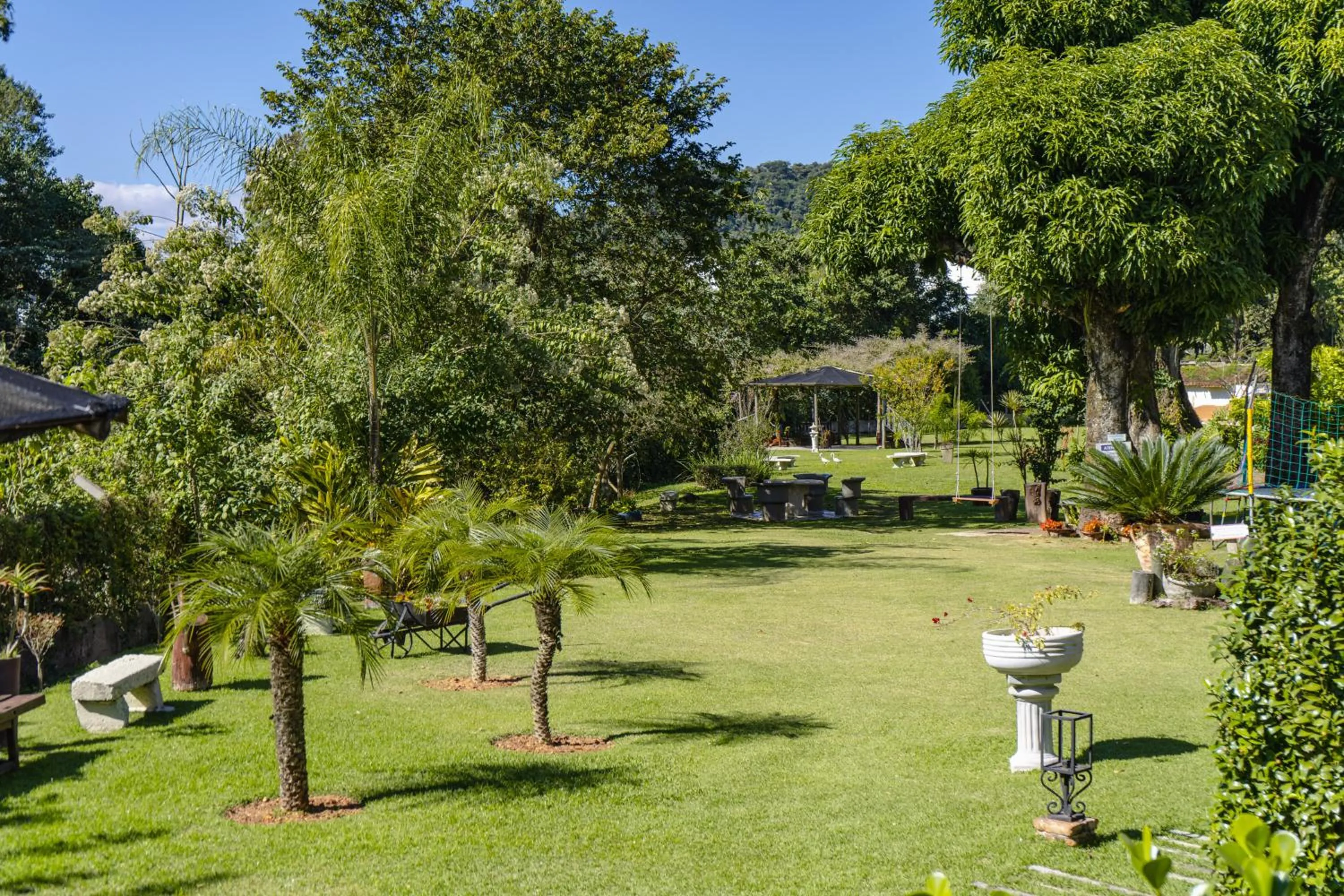 Garden in Hotel Santiago