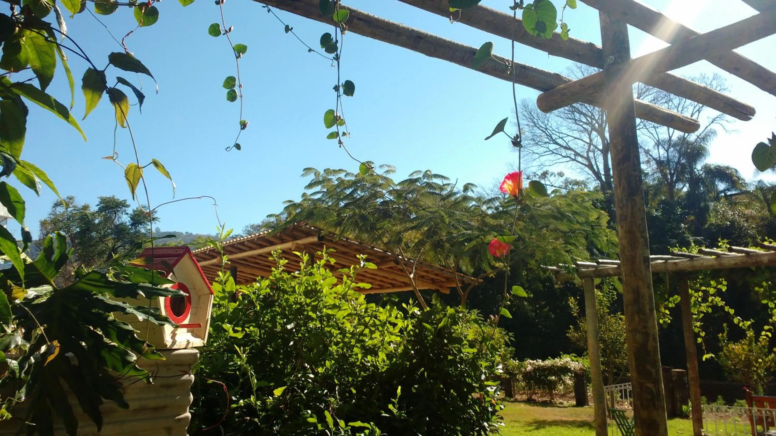 Garden in Hotel Santiago