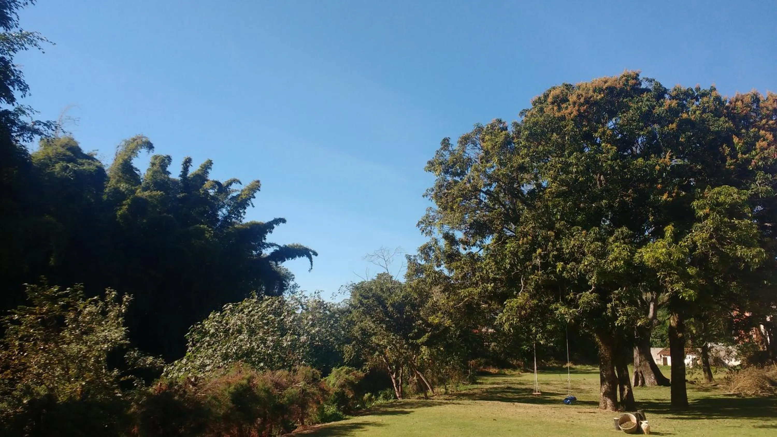 Garden view in Hotel Santiago
