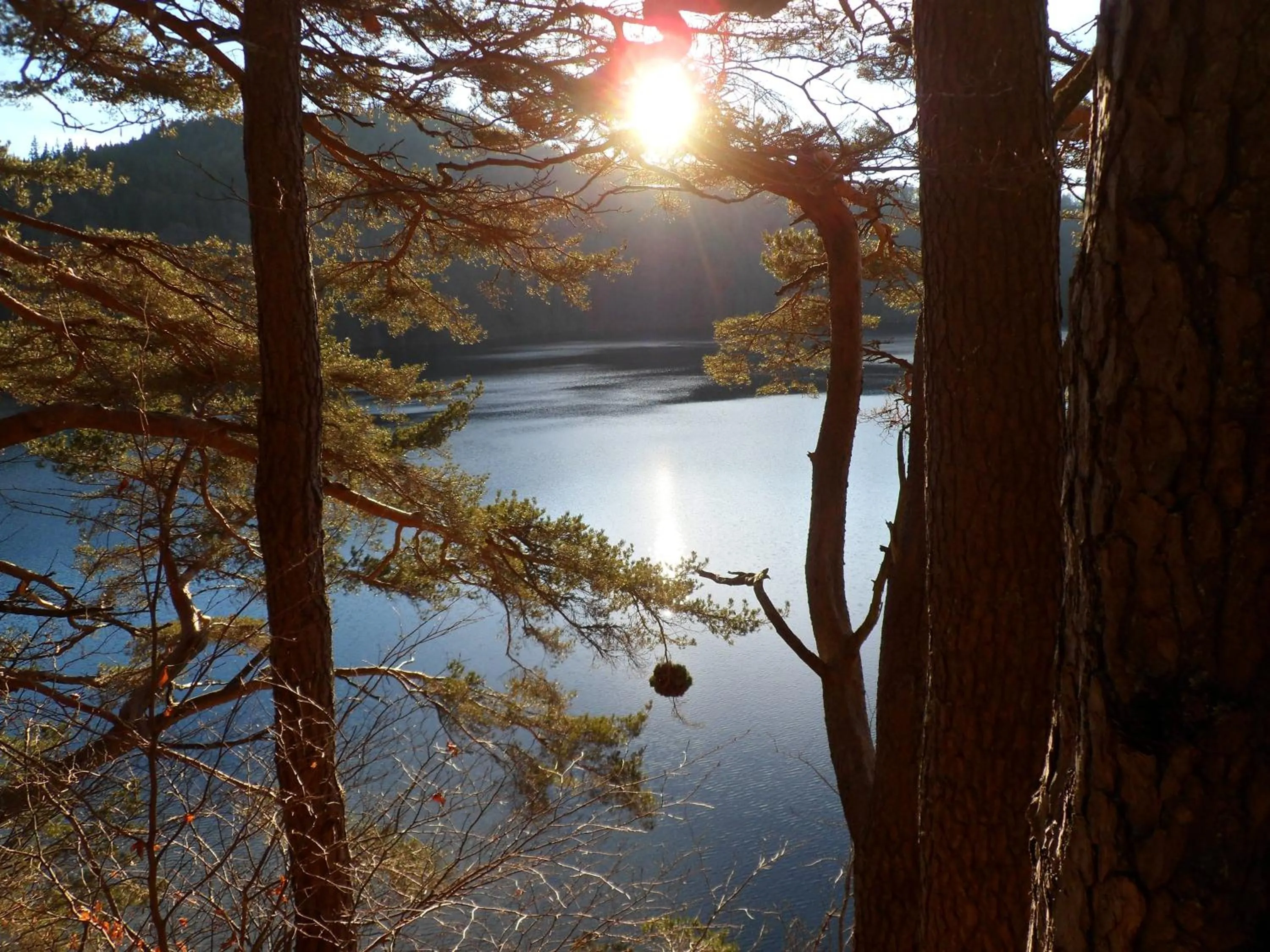 Natural landscape in Le Pont du Roy