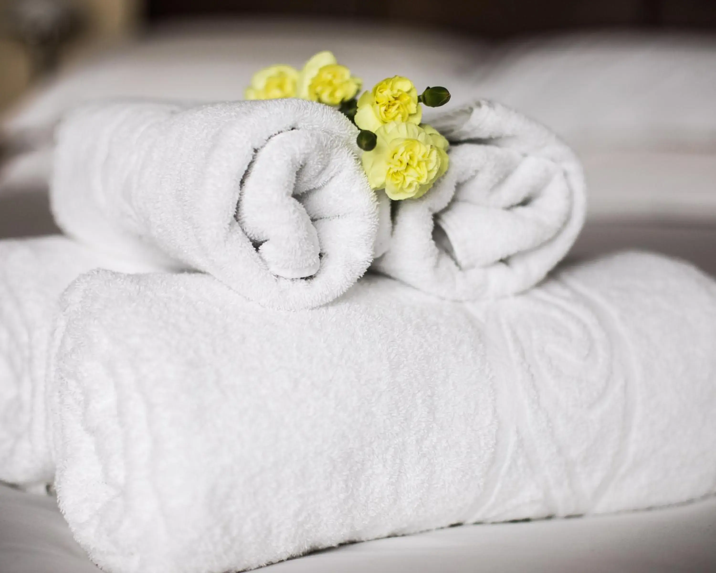 Double Room with Private External Bathroom in King Arthurs Arms Double Room with Private External Bathroom in King Arthurs Arms