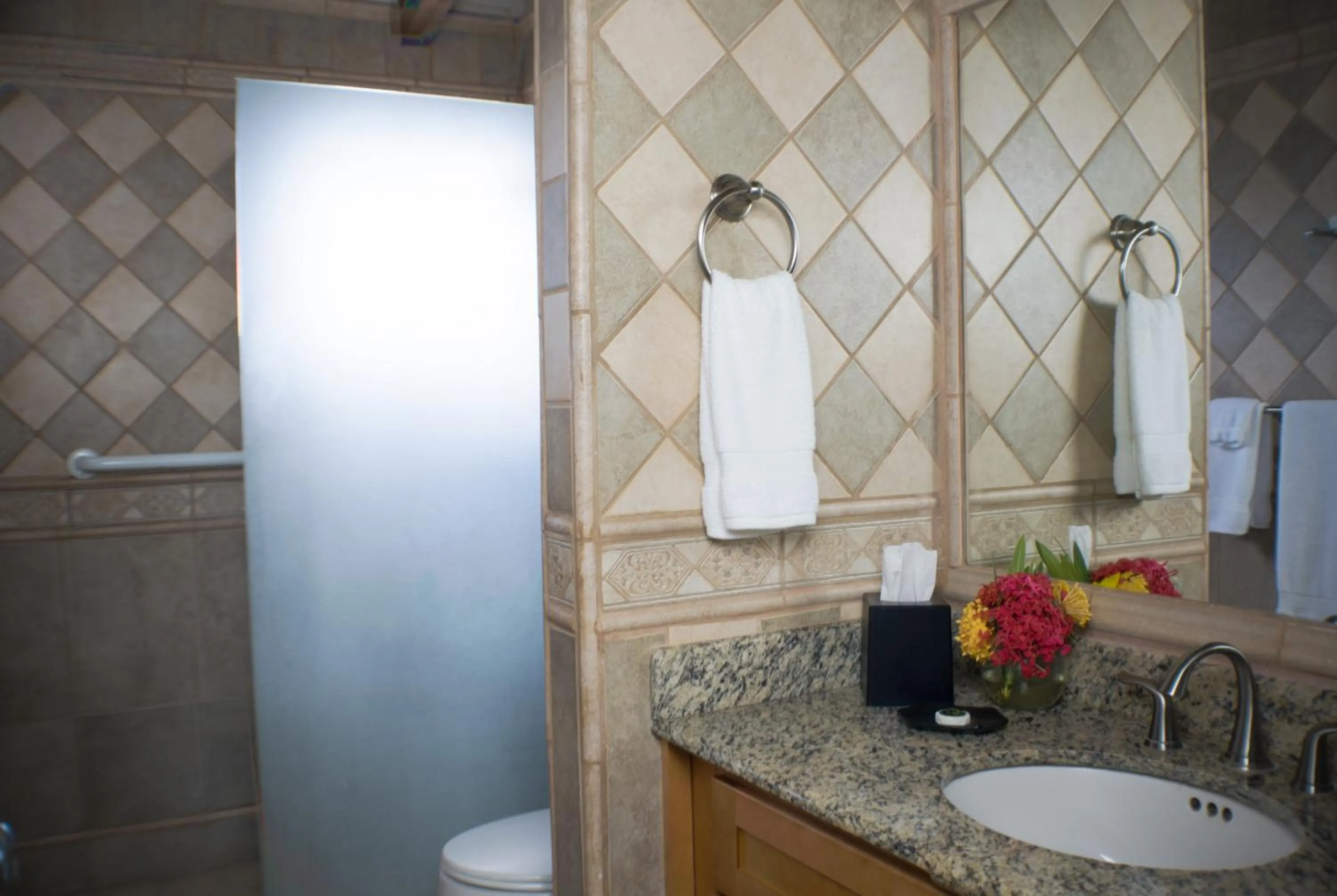 Bathroom in Mount Nevis Hotel