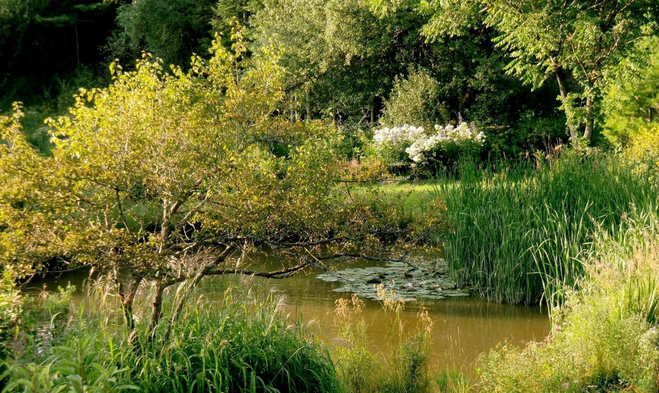 Auberge Restaurant La Mara