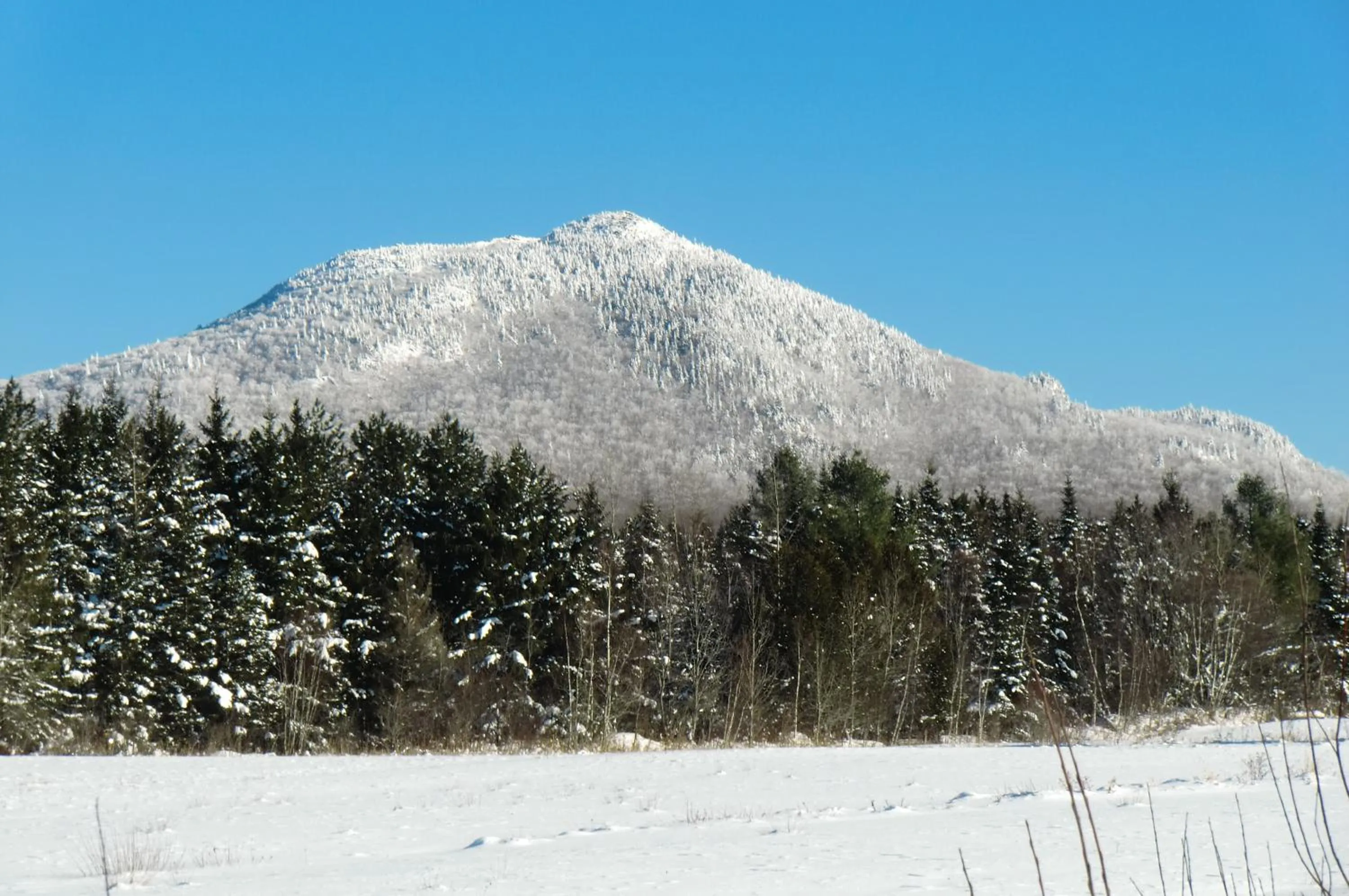 Skiing in Auberge Restaurant La Mara
