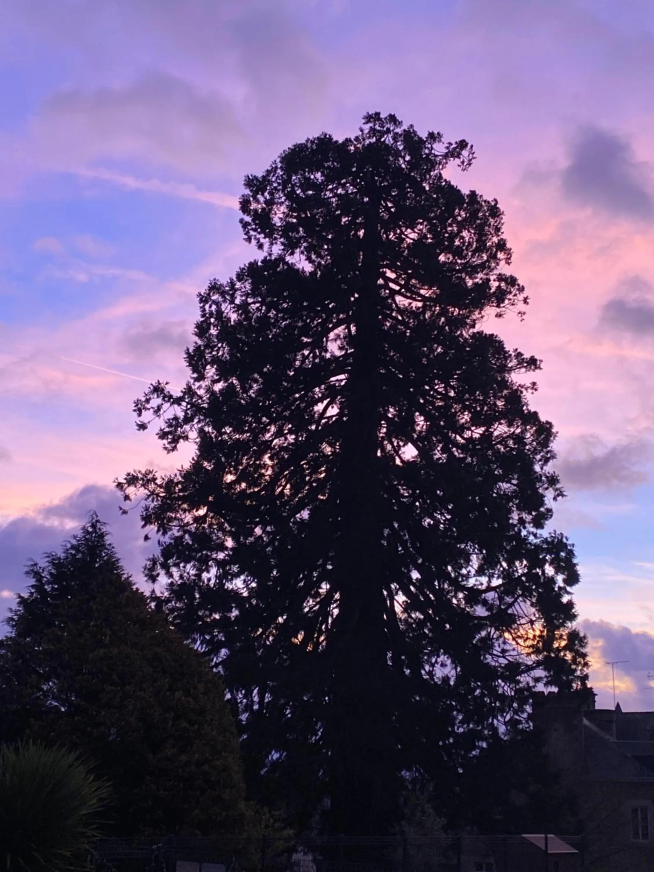 Garden in Cosy Er Lann Chambres d'Hôtes