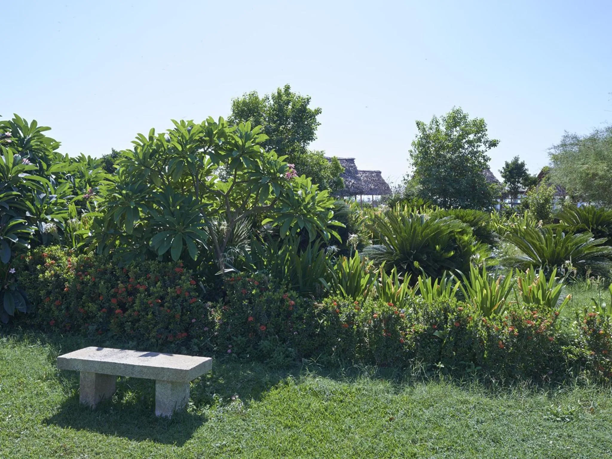 Garden in Club Mahindra Puducherry