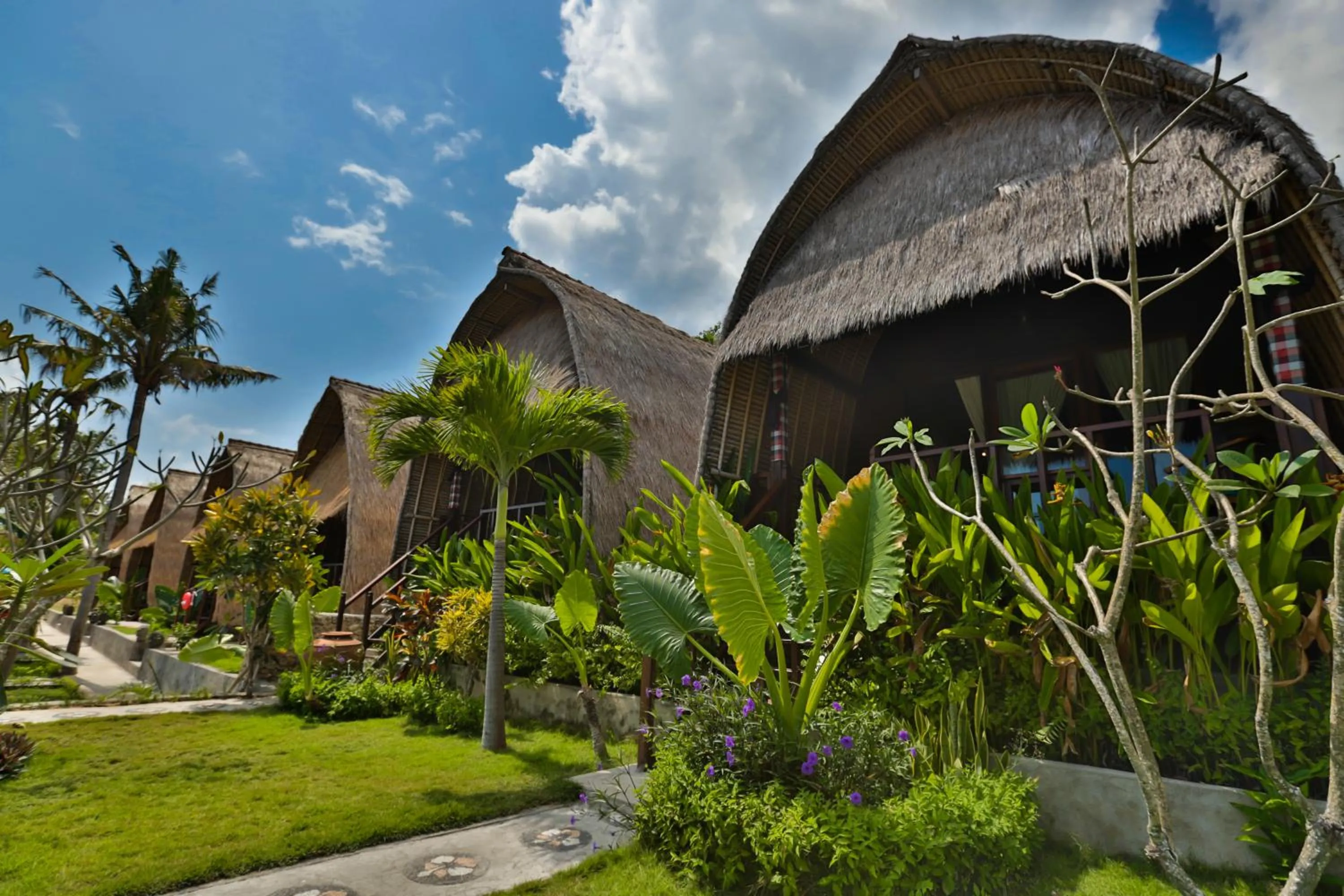 Garden in Sunset Coin Lembongan