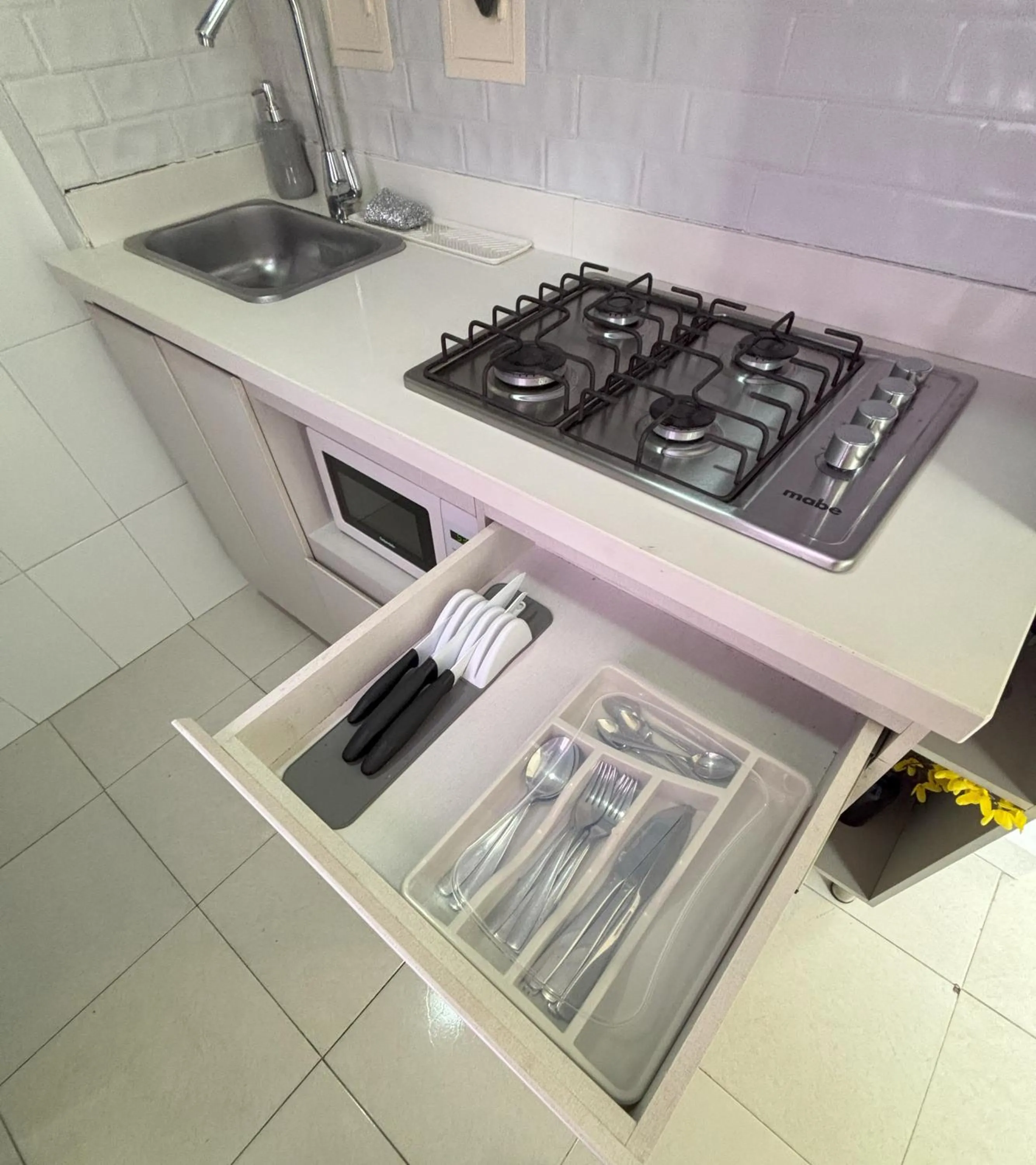 Kitchen or kitchenette in Casa Roman Hotel Boutique