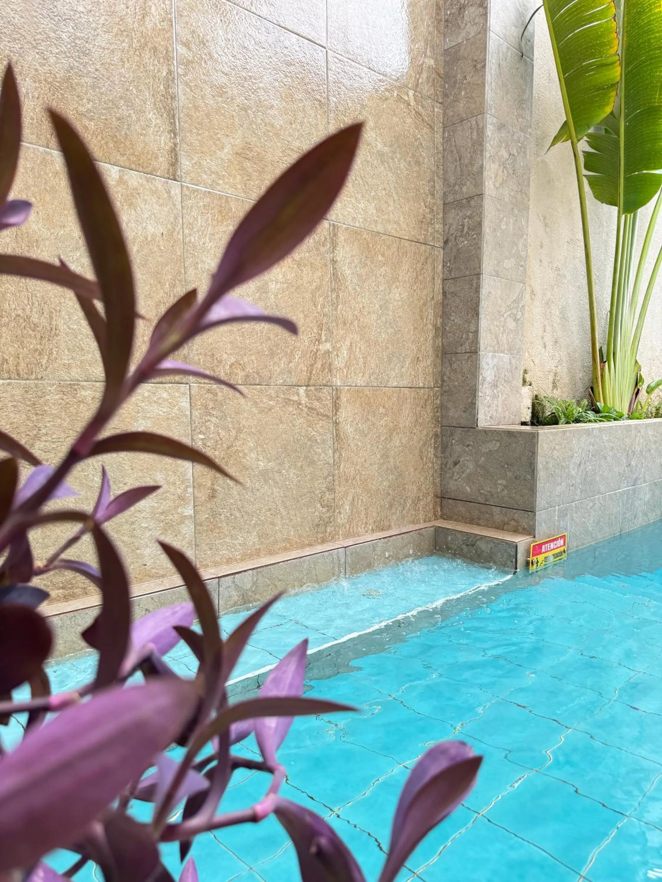 Spa and wellness centre/facilities in Casa Roman Hotel Boutique