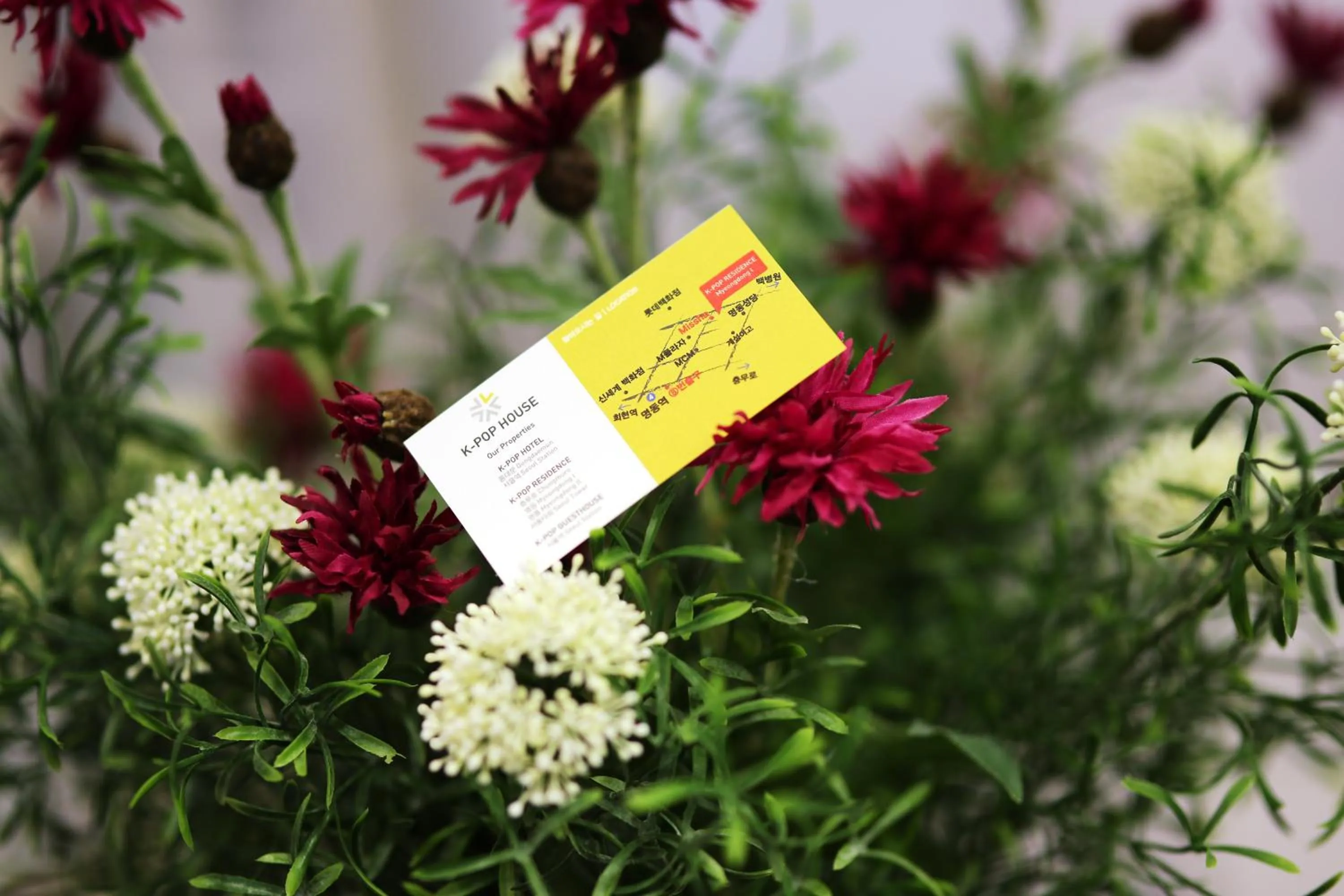 Other in K-POP Residence Myeongdong 1