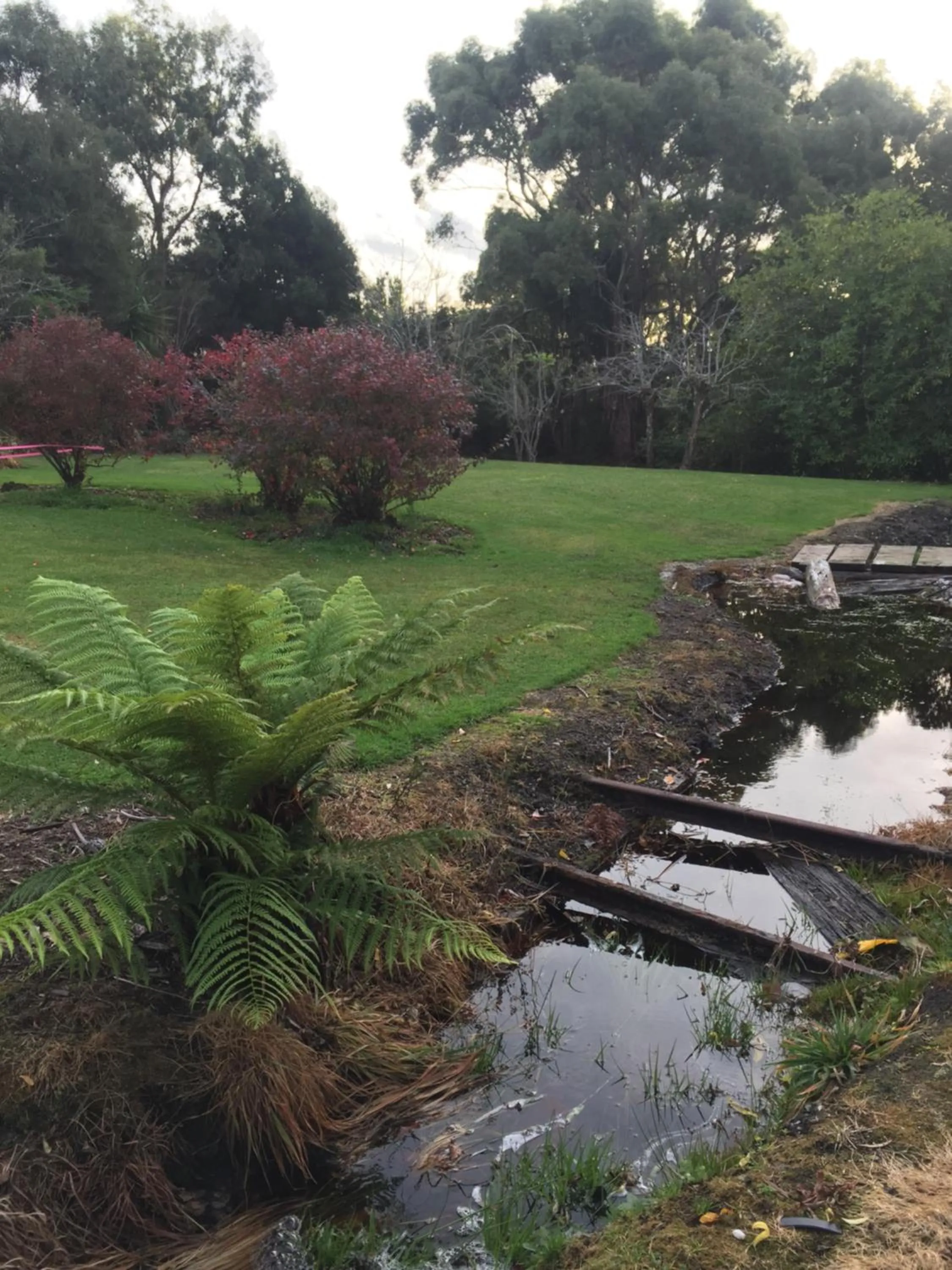 Garden in Harrison House
