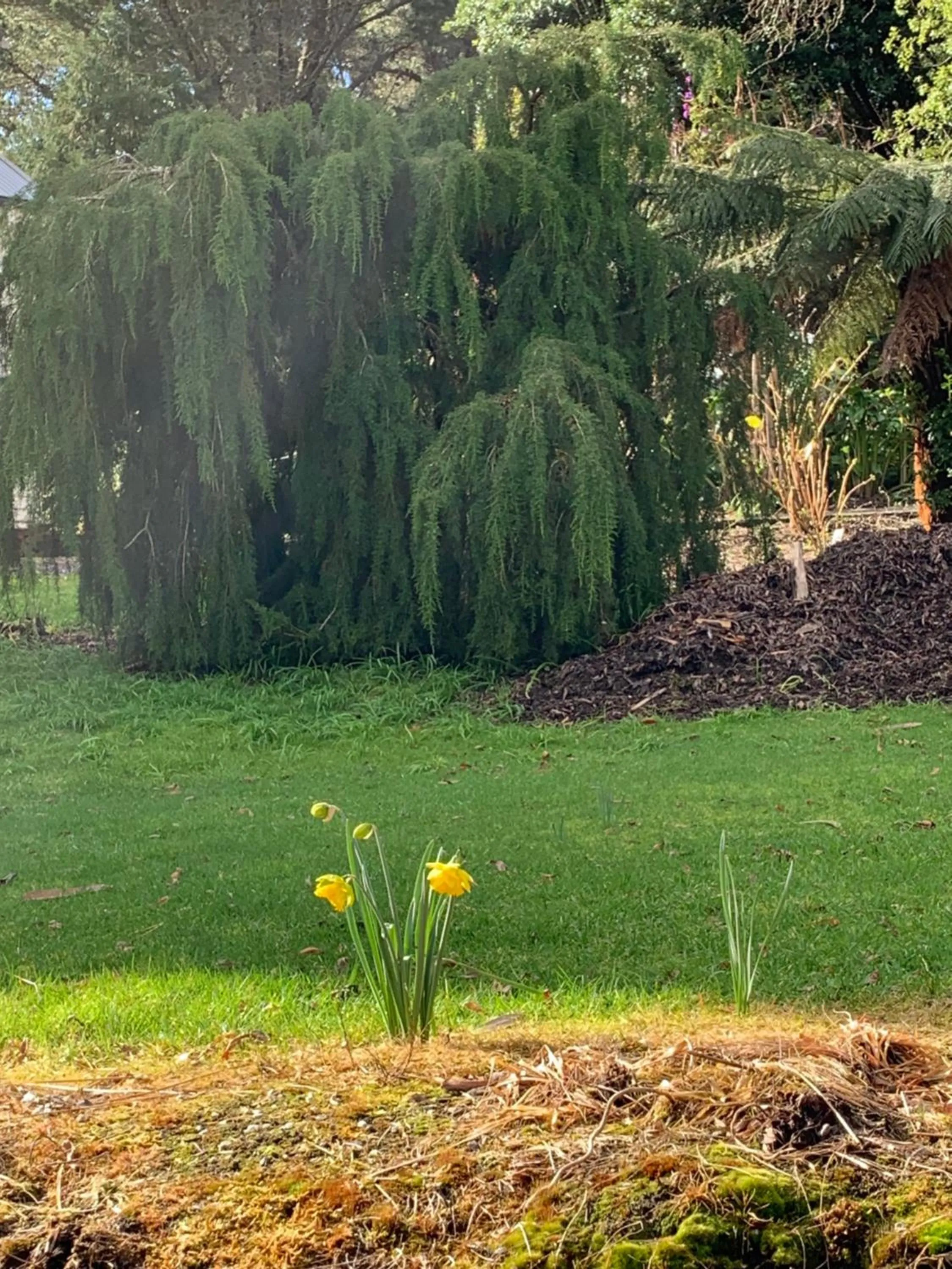 Garden in Harrison House