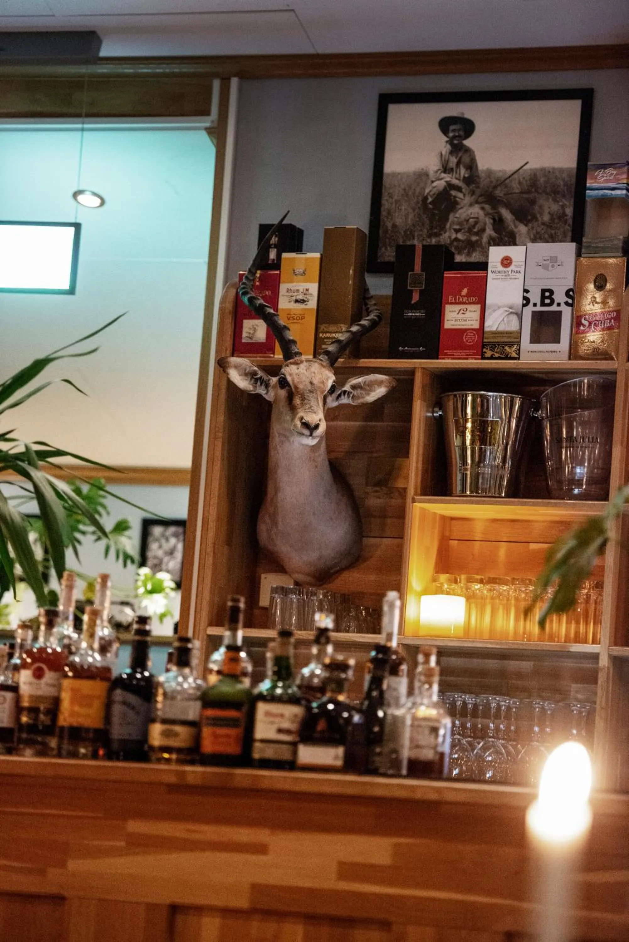 Restaurant/places to eat in Hotell Havanna