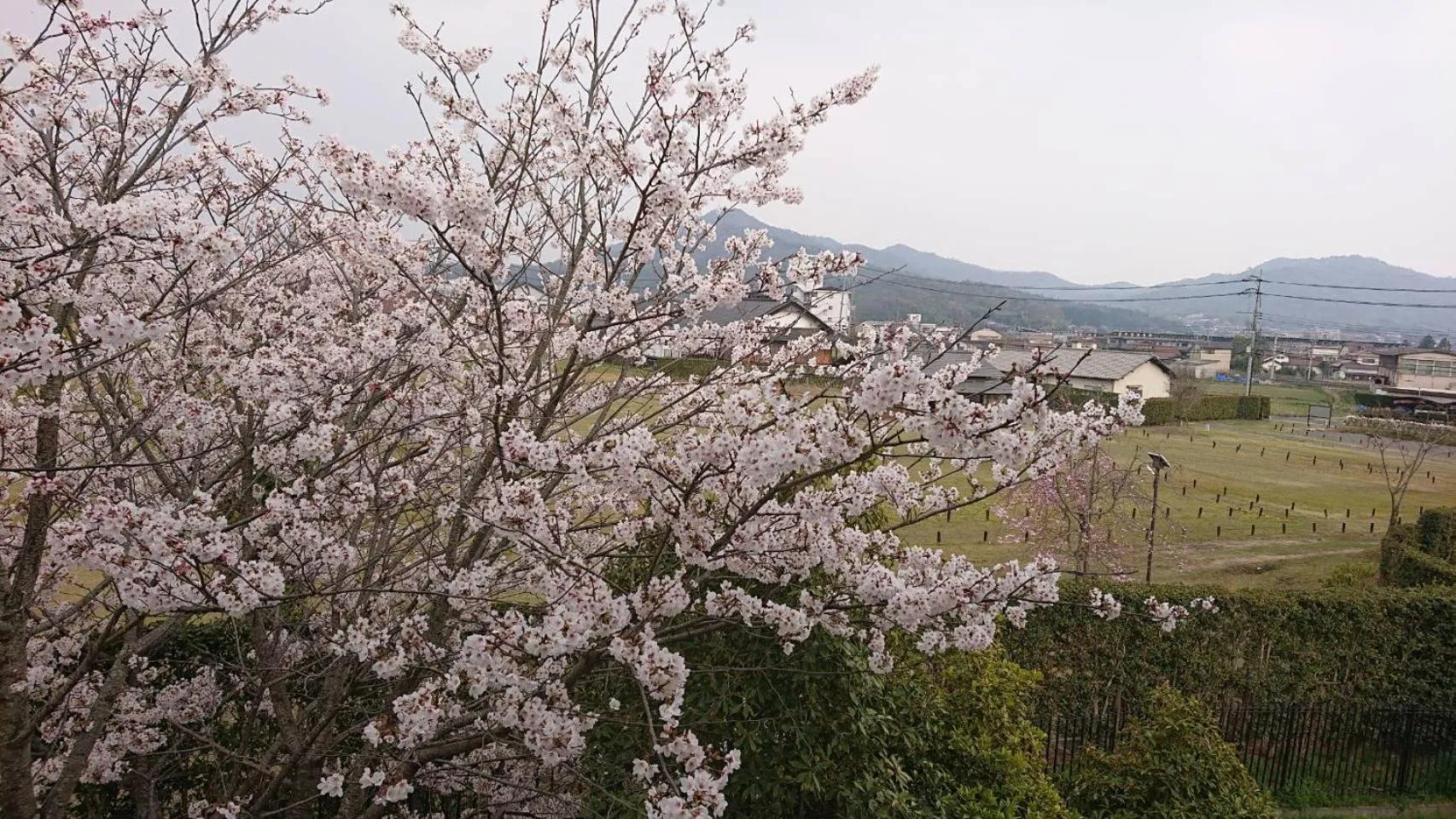 Aki Kokubunji Shukubou