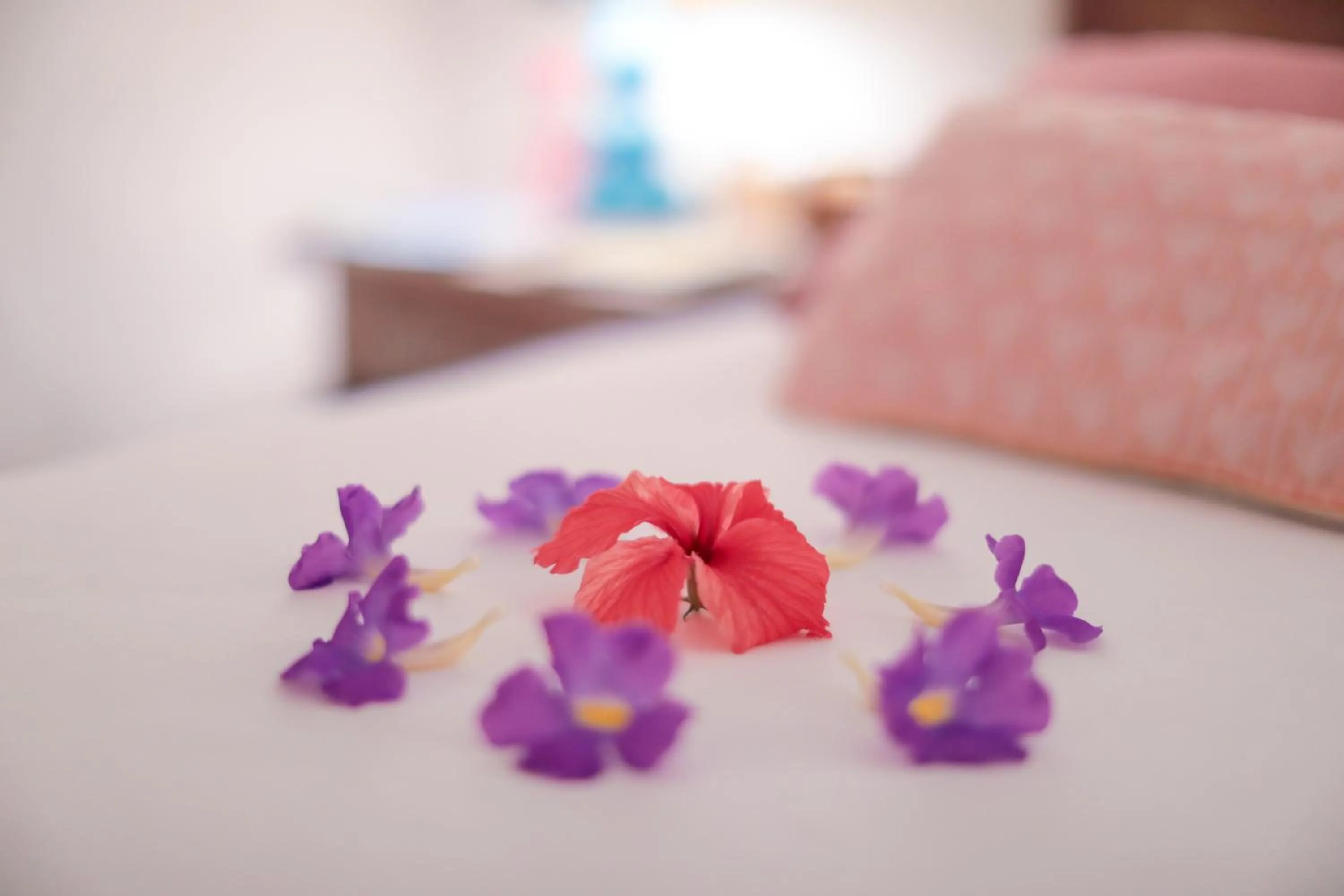 Bed in Pousada Patacho