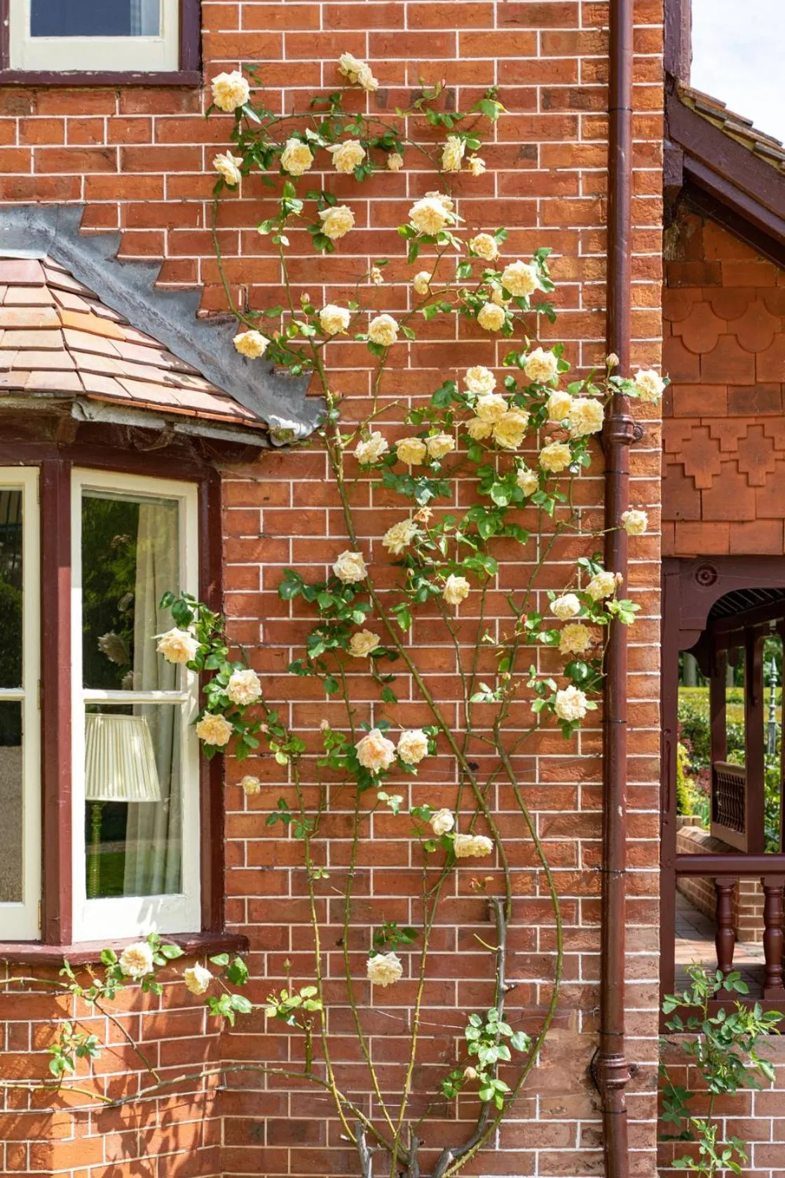 The Five Arrows Hotel