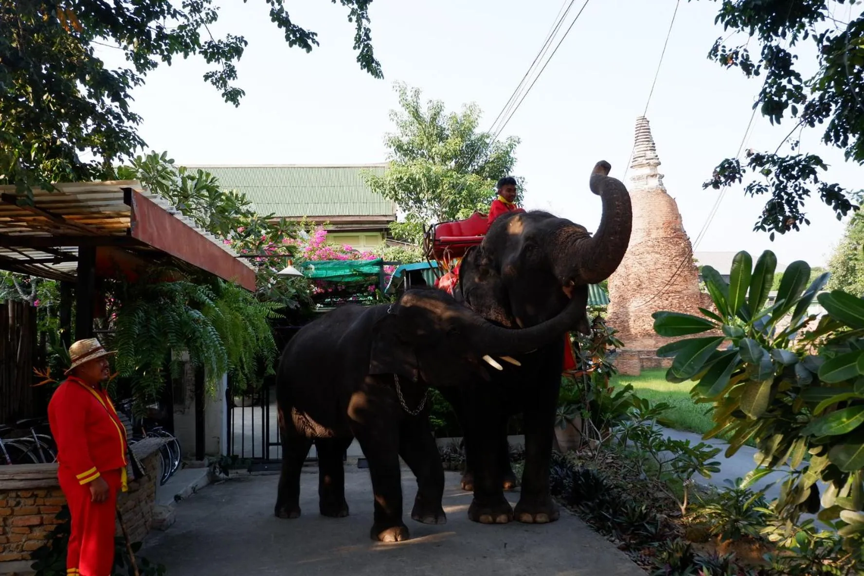 Animals in The Park Ayutthaya Resort And Spa