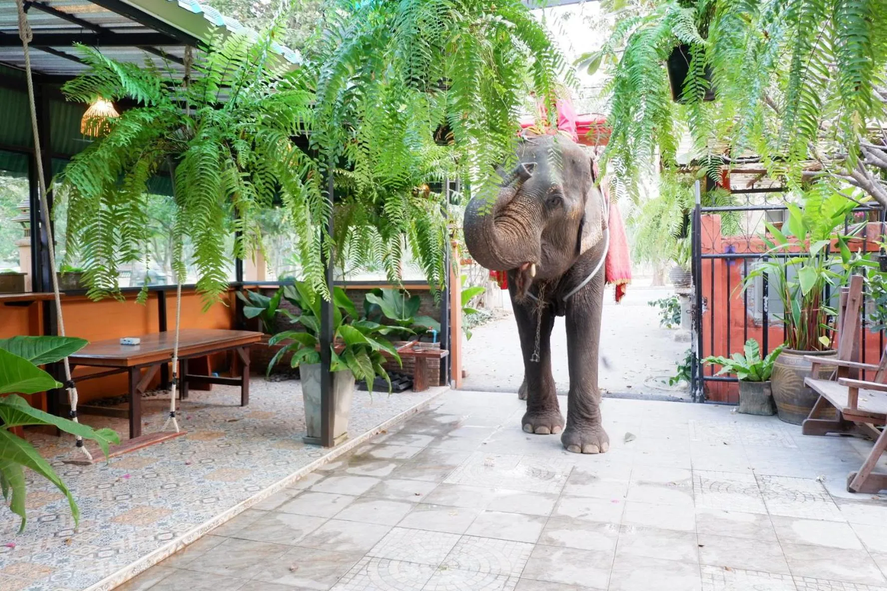 Patio in The Park Ayutthaya Resort And Spa