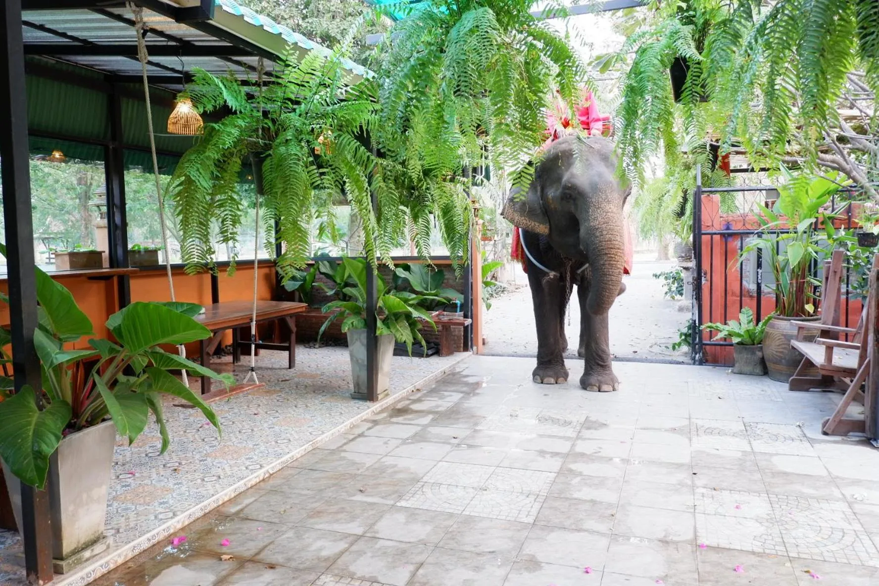 Animals in The Park Ayutthaya Resort And Spa