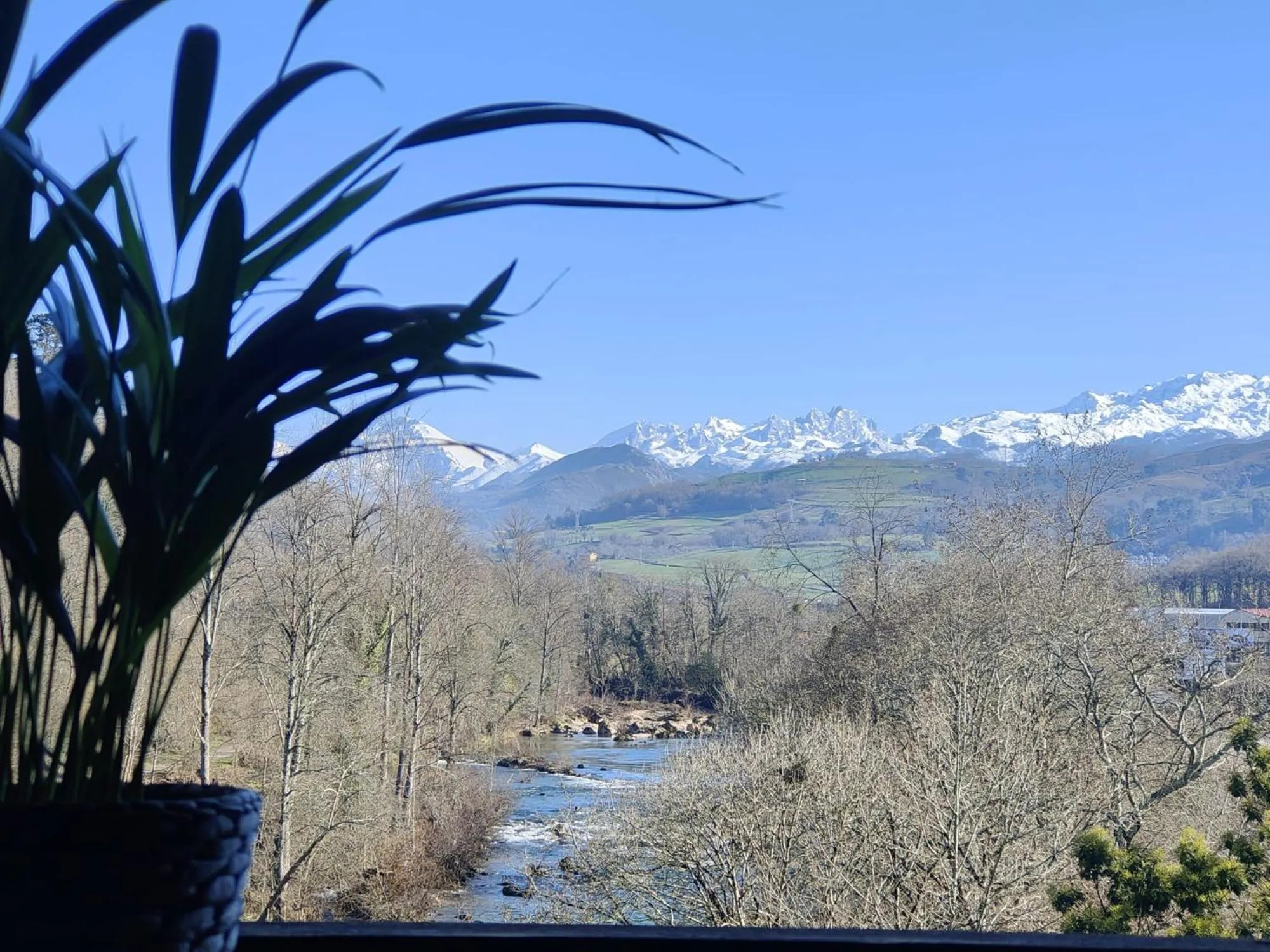 Landmark view in Hotel Capitán