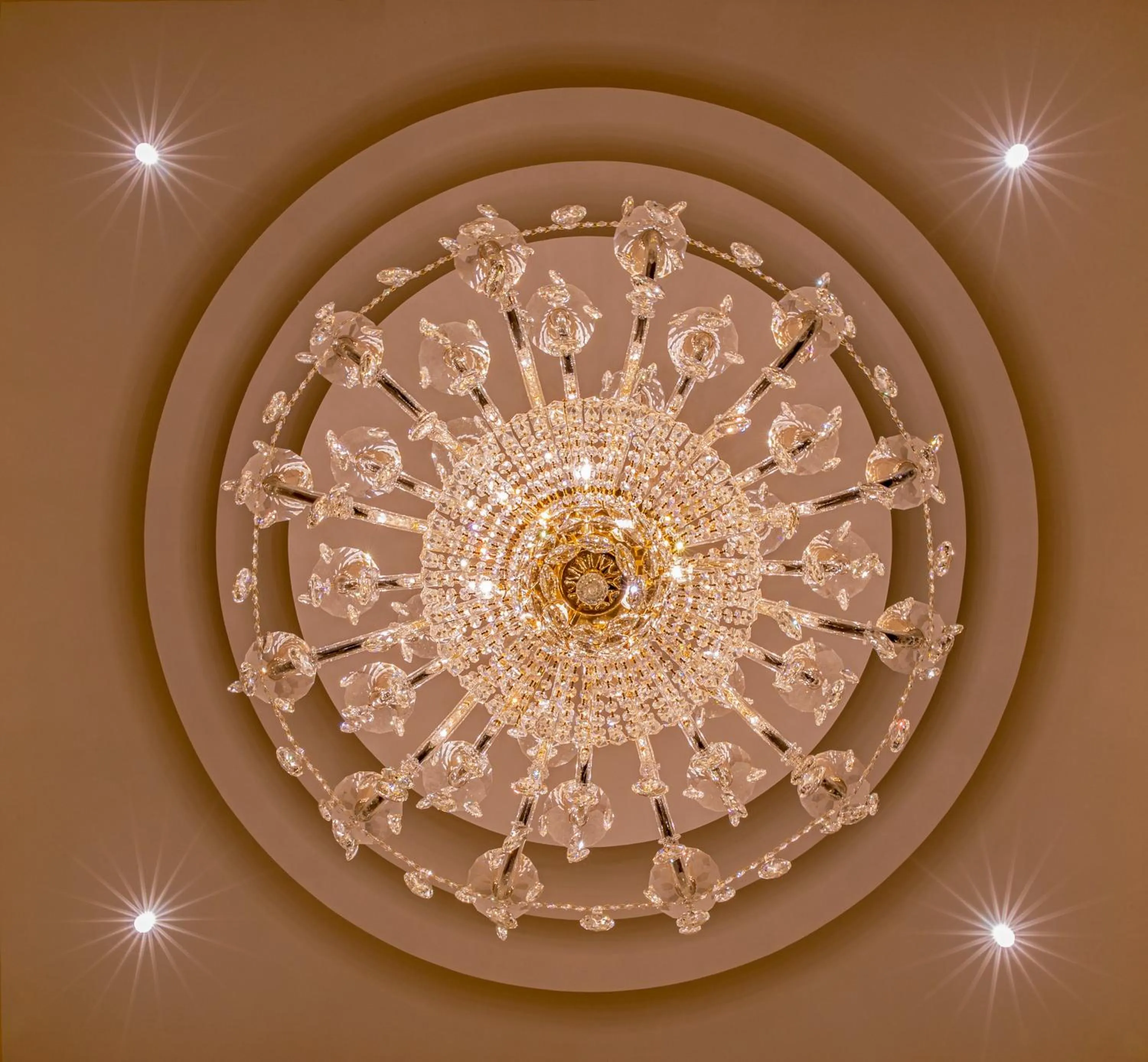 Guests in Regenta Central Cassia Zirakpur Chandigarh